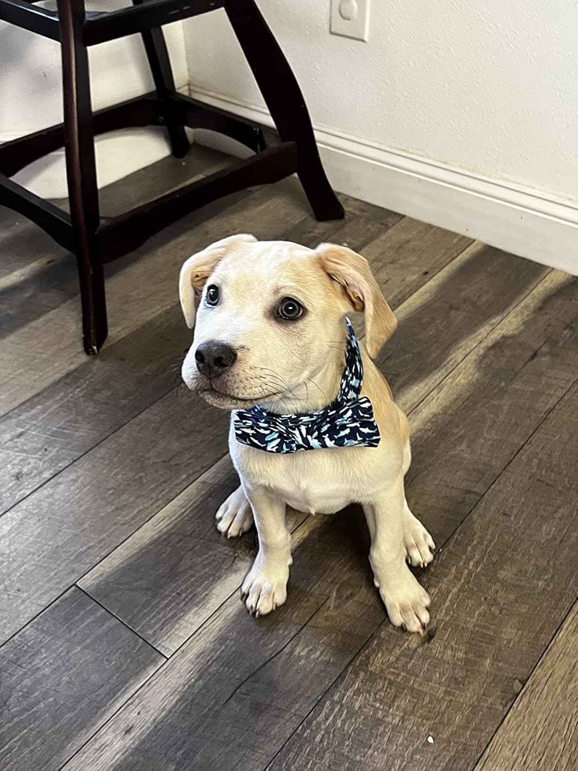 Elegant Little Tail Shark Print Adjustable Bowtie Collar for Large Dogs