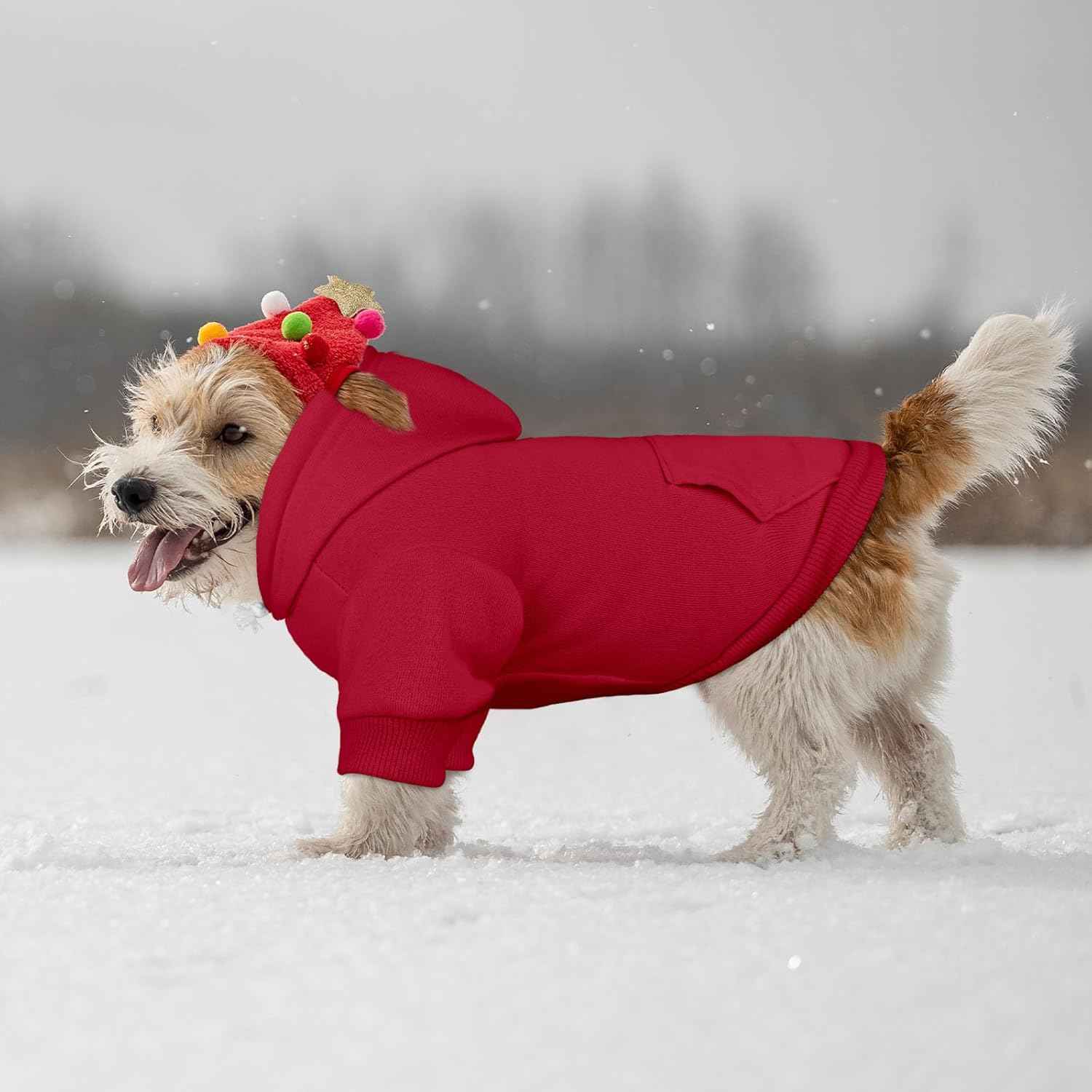 Dog Sweaters for Small Dogs Dog Hoodie Pet Sweater Solid Soft Brushed Fleece Pet Clothes Hoodie Sweatshirt with Pocket(Red-S)