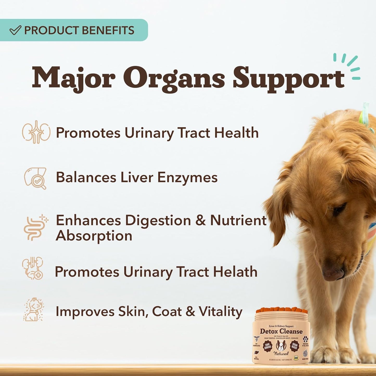 Natural Dog Company Liver & Kidney Supplement for Dogs – 90 Soft Chews with Milk Thistle, Cranberry, Dandelion Root, Turmeric & Astragalus – Supports Liver Function, Kidney Health & Overall Wellness