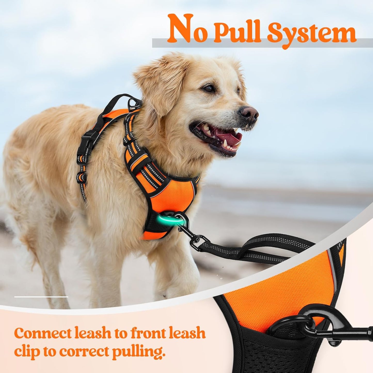 rabbitgoo Dog Harness No Pull with 2 Leash Clips, Adjustable Soft Padded, Reflective Oxford No Choke Pet Vest with Easy Control Handle for Medium Sized Dogs,Orange, M