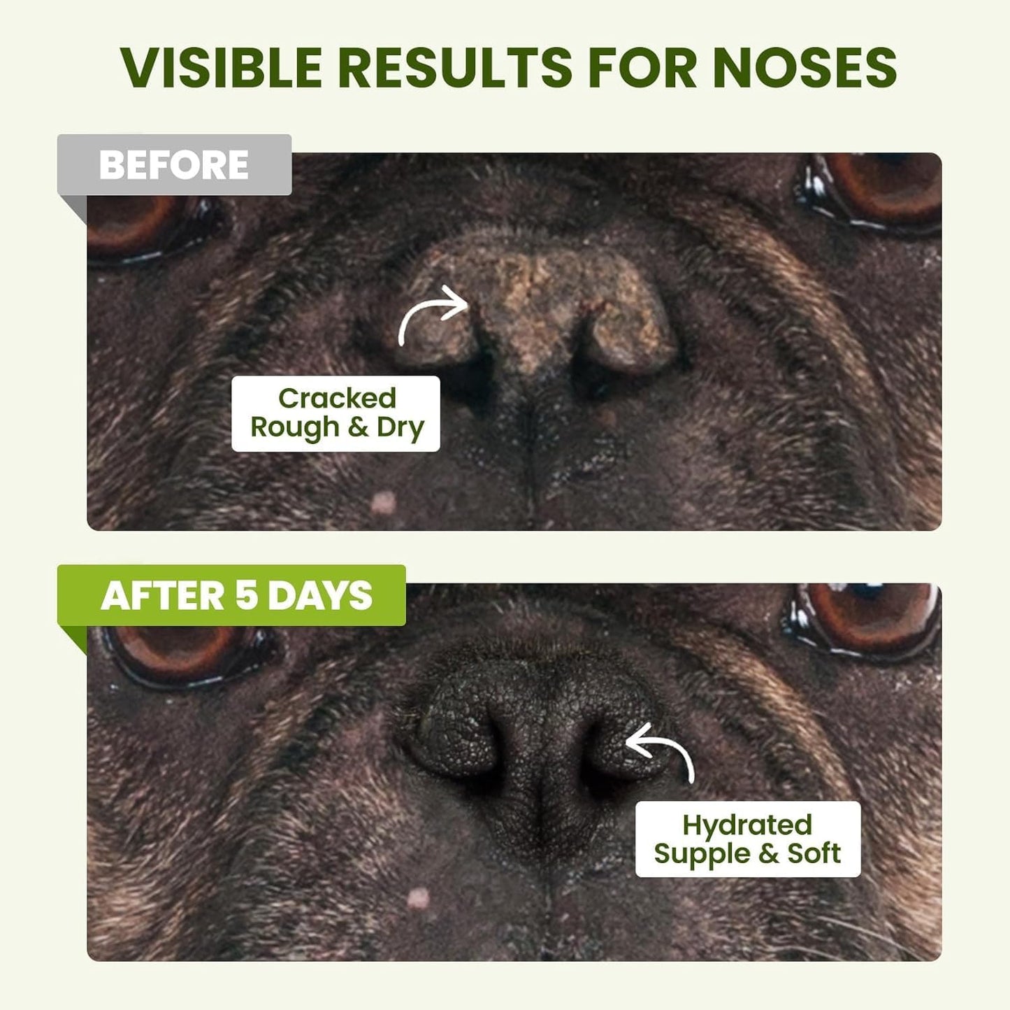 Snout Soother Nose Balm for Dogs & Cats - Natural Healing & Moisturizing Balm for Dry, Cracked Snouts - Plant-Based, Soothing Skin Formula
