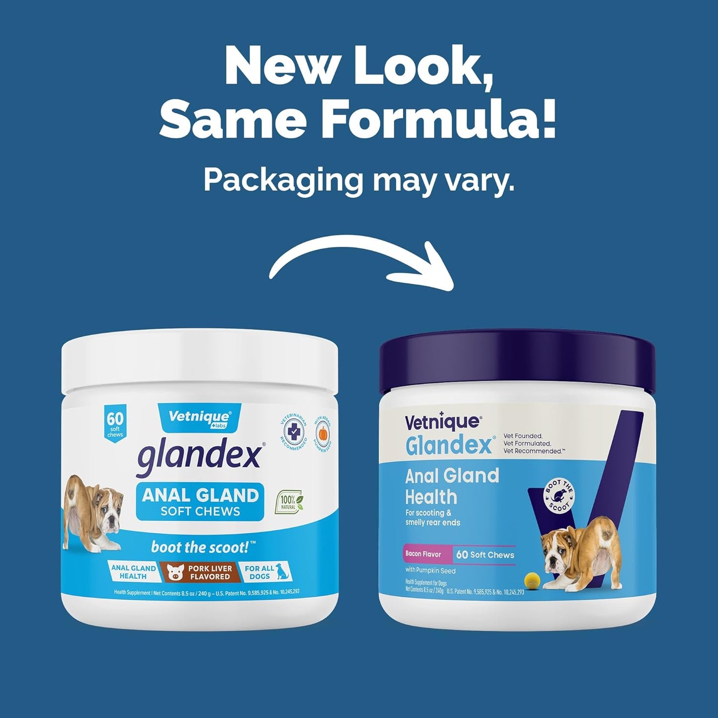 Vetnique Labs Glandex Anal Gland Soft Chew Treats with Pumpkin for Dogs Digestive Enzymes, Probiotics Fiber Supplement for Dogs Boot The Scoot (Bacon Flavor Chews, 60 Count)