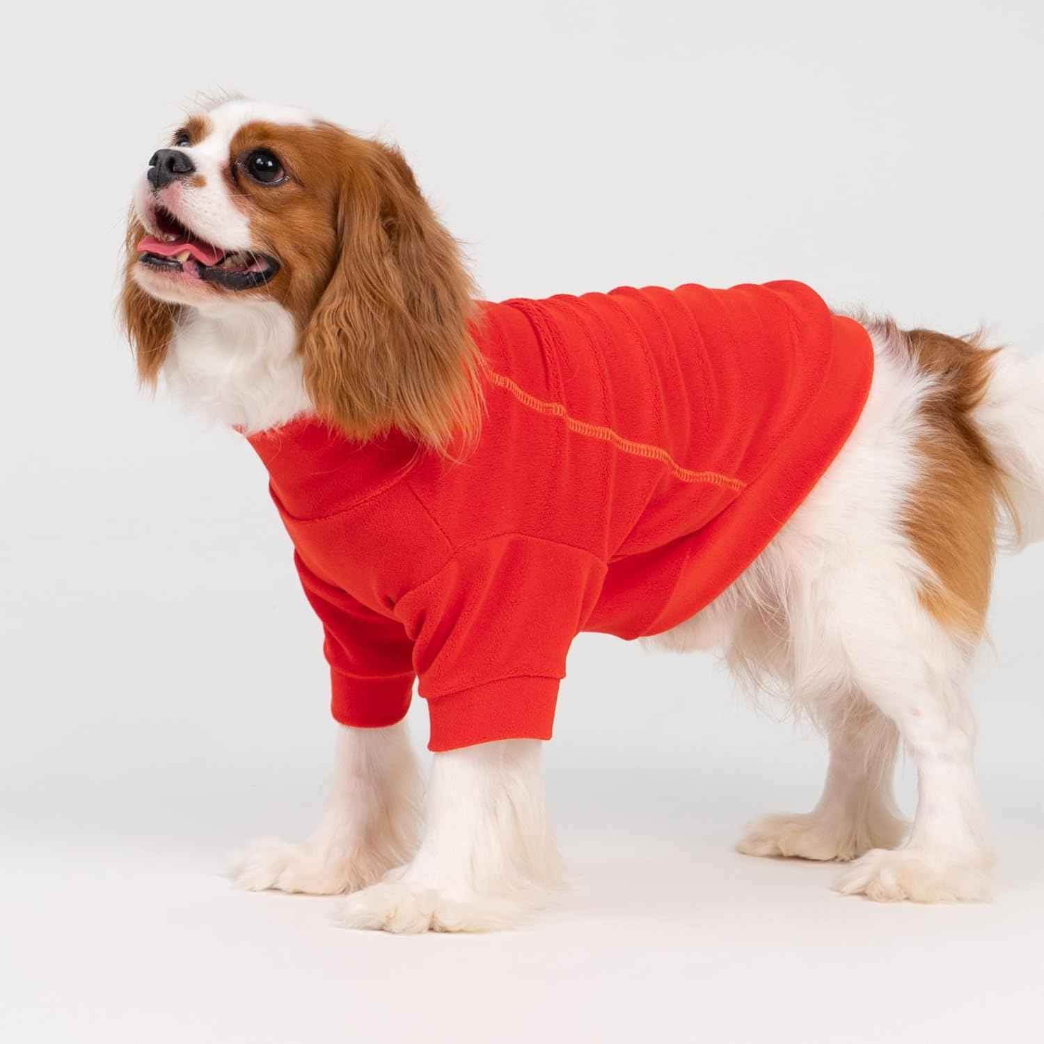 Fitwarm 3 Pack Classic Fleece Dog Sweater, Winter Clothes for Small Dogs Boy Girl, Turtleneck Dog Sweatshirt, Pet Apparel, Orange Red, Royal Blue, Neon Yellow, XS