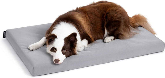 PELZIN Cybarmour Chew Proof Dog Bed - Orthopedic Indestructible Dog Crate Pad - Outdoor Waterproof Kennel Mat for Aggressive Chewers - Large Breeds & Fits 36-Inch Crate - 35"x22", Limestone