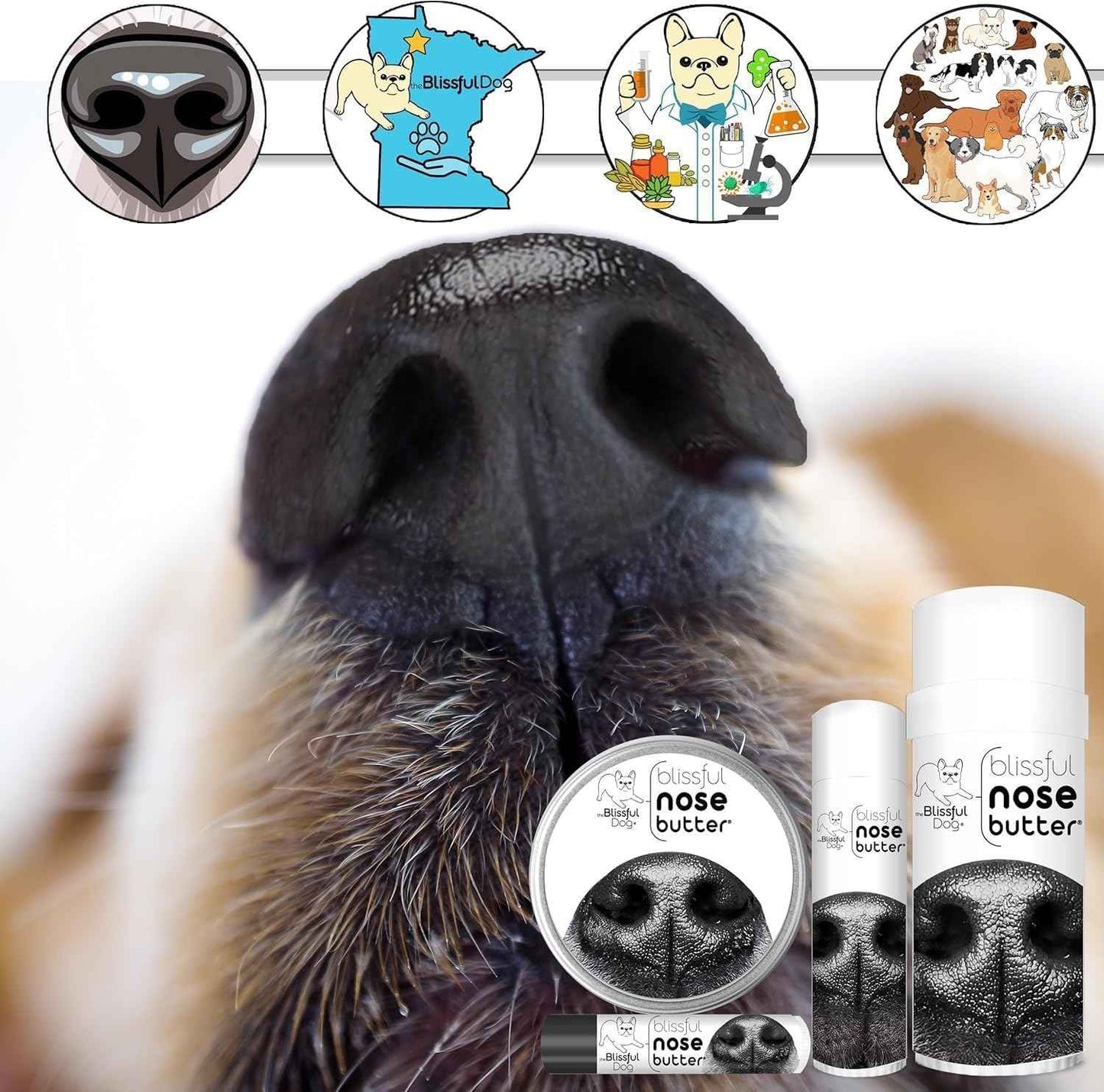 The Blissful Dog Every Dog Nose Butter, Versatile Dog Nose Balm for Dry Nose, Handcrafted Nose Moisturizer, Easy-to-Apply Dog Essentials, Unscented, 1 oz.