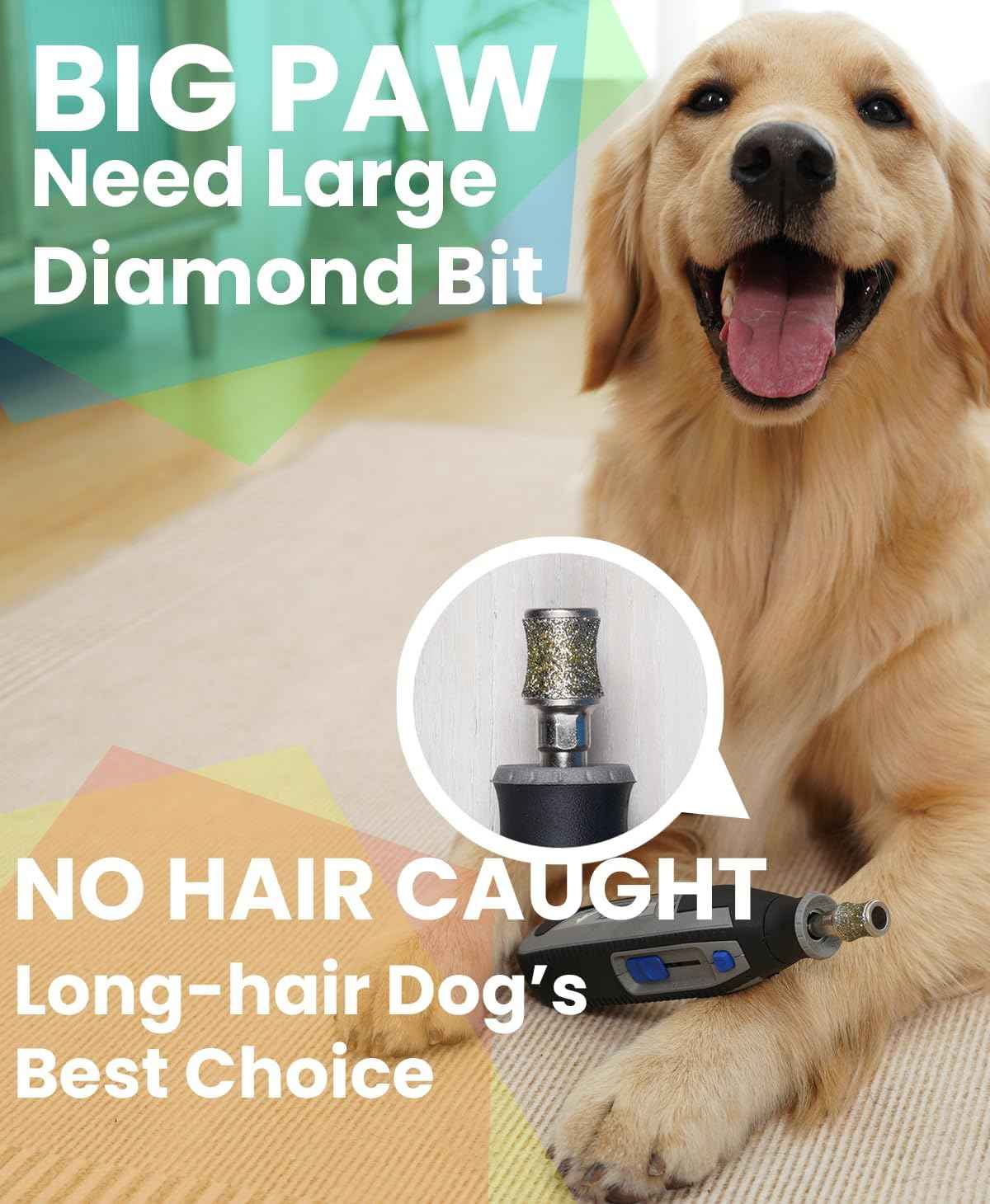 Diamond Dog Nail Grinder Attachment, Diamond Rotory Bit for Dogs&Pets Nail Care, Made for Dremel Grinder for Animals Nail Care & Home Grinder Tools, Retriever, Fast-grit