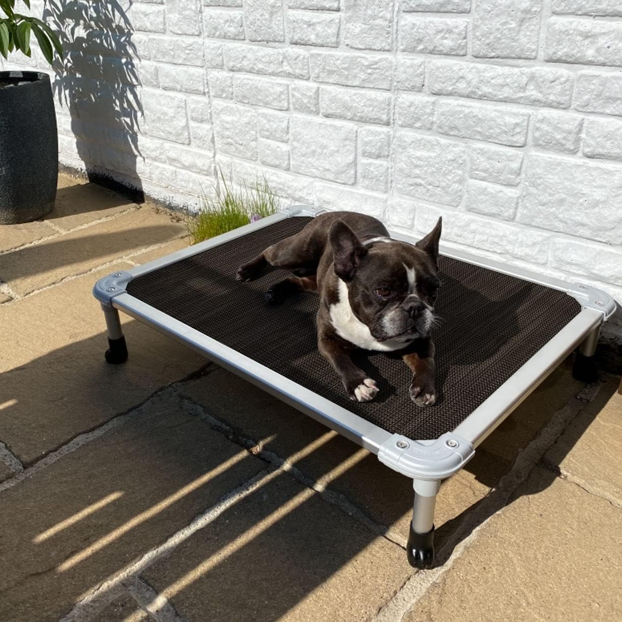 Veehoo Chew Proof Elevated Dog Bed - Cooling Raised Pet Cot - Silver Aluminum Frame and Durable Textilene Mesh Fabric, Unique Designed No-Slip Feet for Indoor or Outdoor Use, Brown, Medium, CWC2003