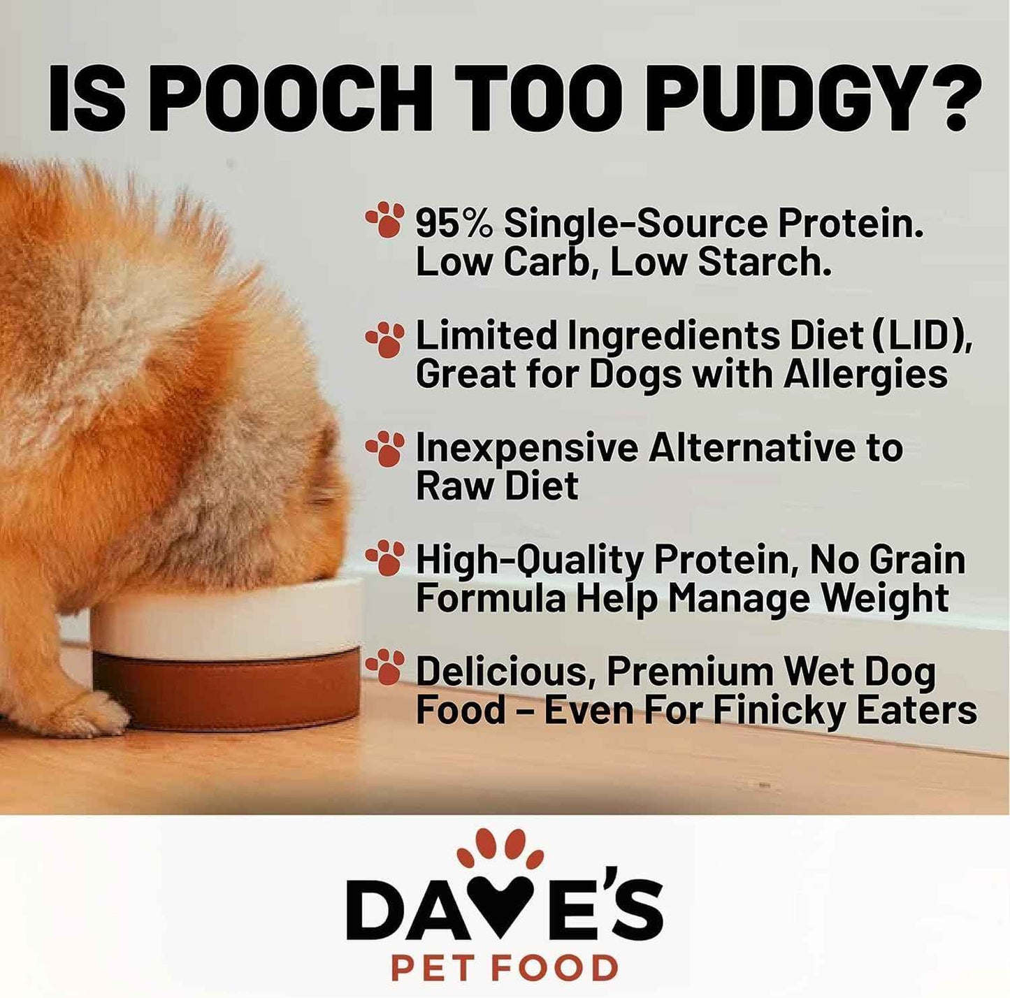 Dave's Pet Food Grain Free Wet Dog Food (95% Chicken & Chicken Liver), Made in USA Single-Source Protein, Limited Ingredients, 12.5 oz Cans (12 Pack)