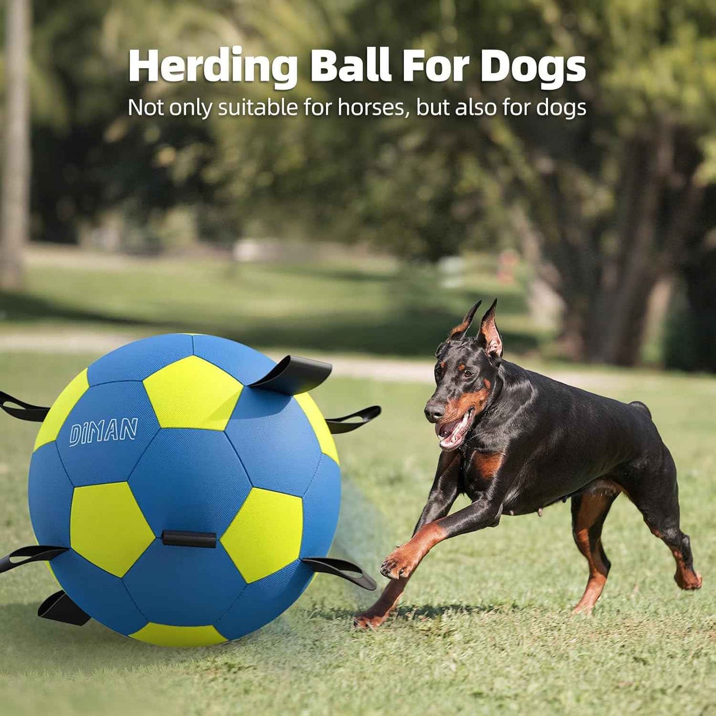 Diman Herding Ball for Dogs – 25 Inch Horse Ball, Large Dog Toy for Australian Shepherd (Blue Yellow)