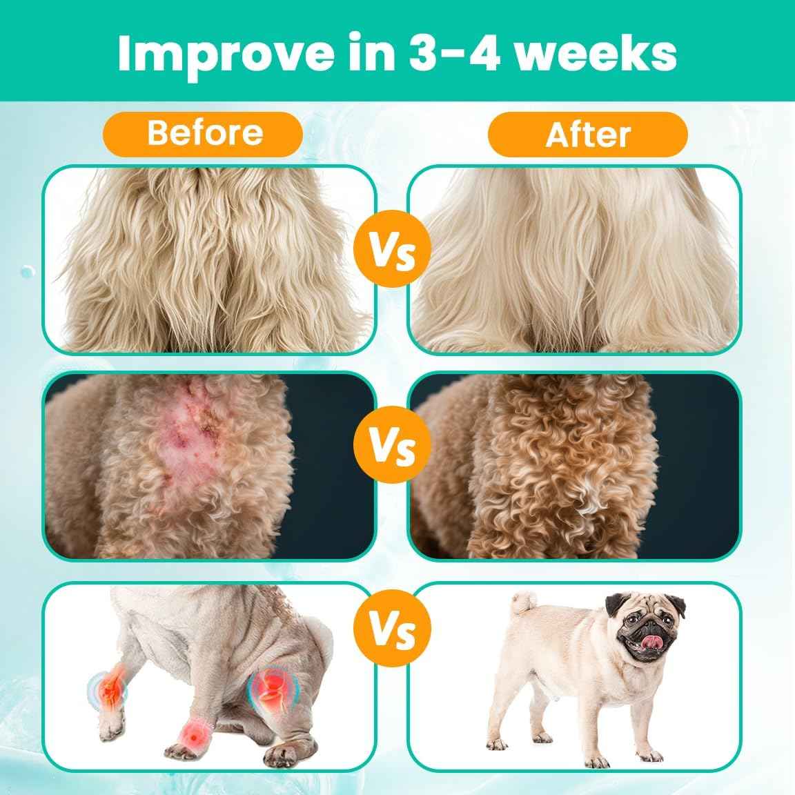 Liquid Collagen for Dogs Cats-Hip & Joint Support, Itch Relief, Skin & Coat Health-Collagen Drop Supplement with Triple Complex (Types I, II,V),MSM, Biotin & Ginger-2 fl oz Bacon Flavor