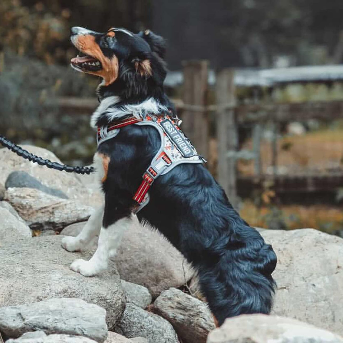 AUROTH Service Dog Vest Patches - 10 Pieces, Reflective and Removable Harness Patches for Training