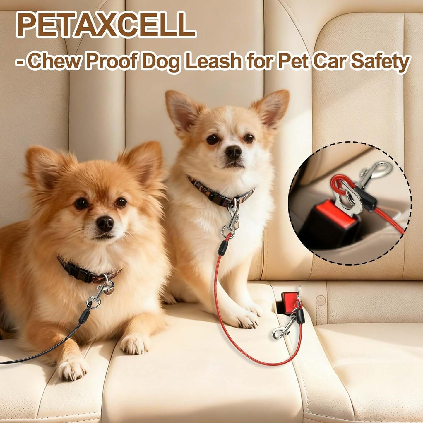 Chew Proof Dog Leash, 16 in Dog Seat Belt Harness with Double Clips Leash Extender Steel Braided Vehicle Tether, (Transparent, 2 Pcs), Intended for Pet Car Safety/Walking/Training