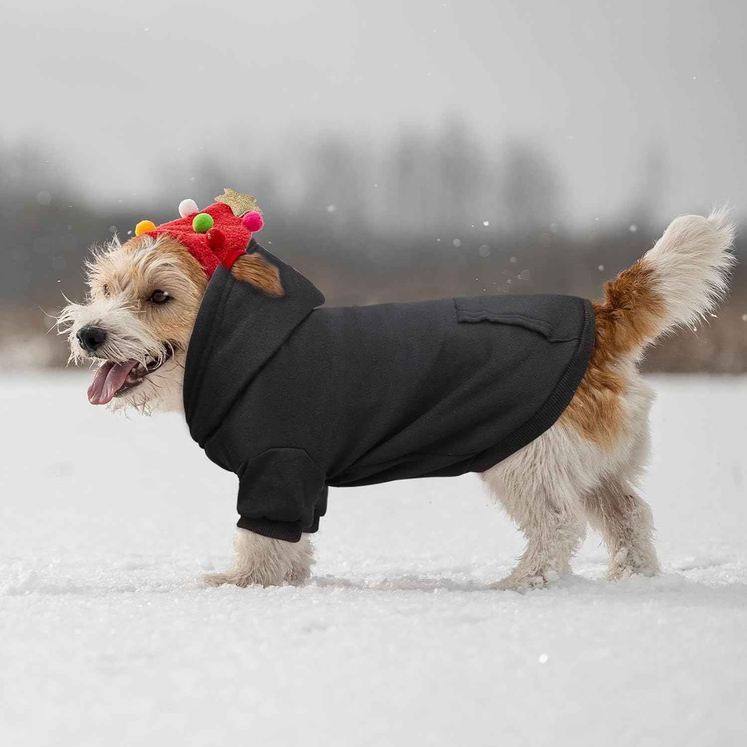 Dog Sweaters for Small Dogs Dog Hoodie Pet Sweater Soft Solid Brushed Fleece Pet Clothes Hoodie Sweatshirt with Pocket(Black-S)