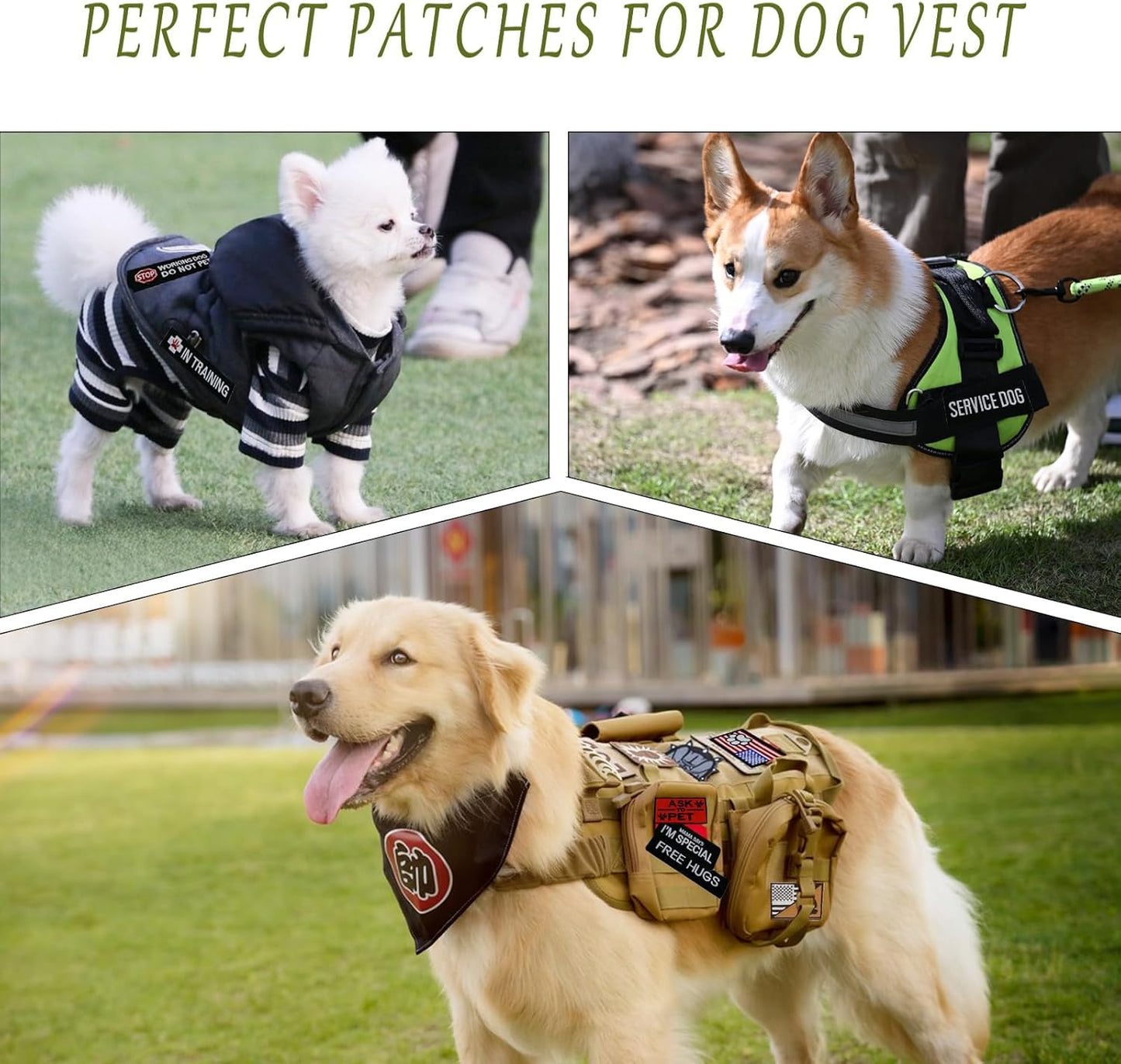 16 Pcs Dog Patches for Harness, Working Service Dog Vest Patches Tactical Canvas Removable Hook Loop Patch in Training Dog Vest