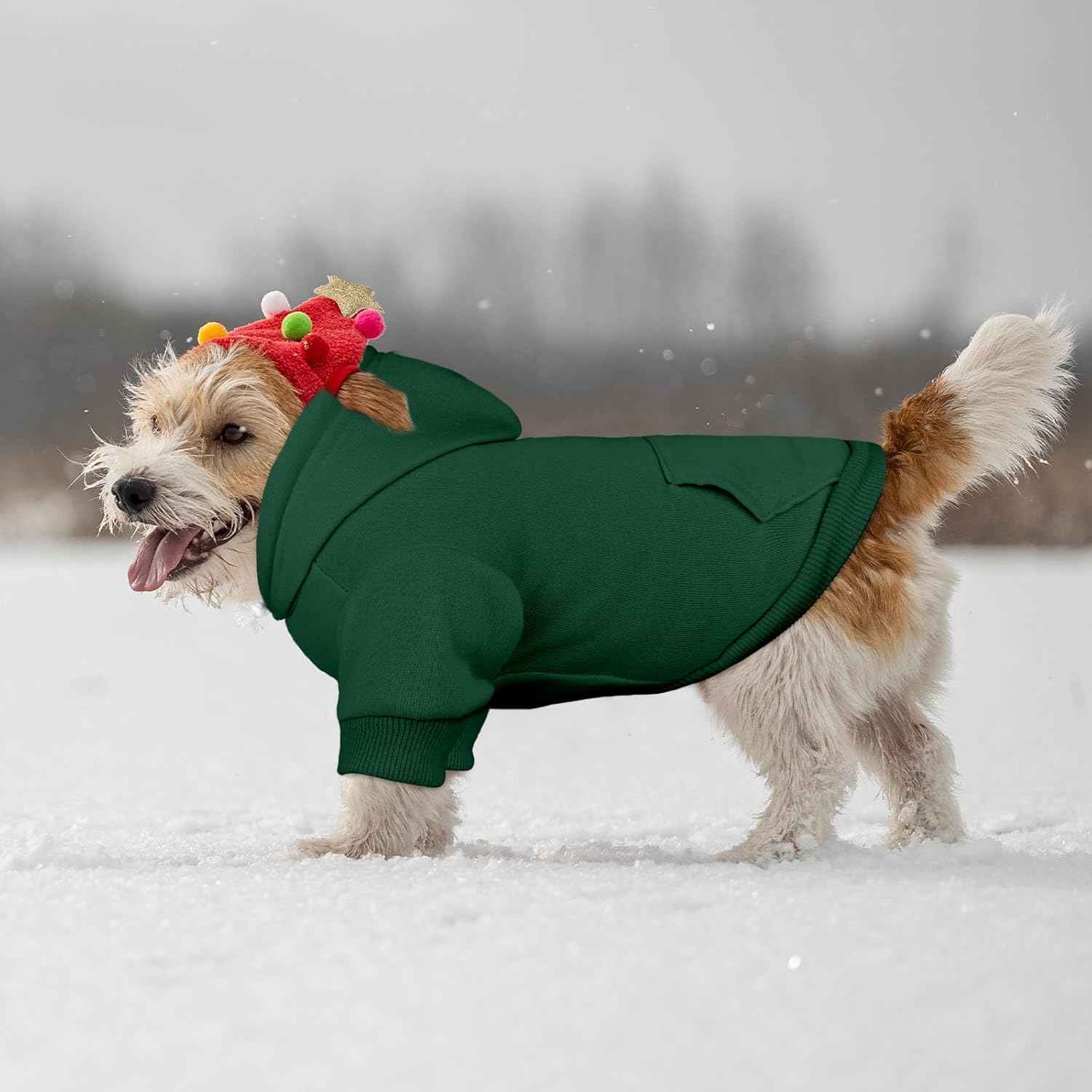 Dog Sweaters for Small Dogs Dog Hoodie Pet Sweater Solid Soft Brushed Fleece Pet Clothes Hoodie Sweatshirt with Pocket(Green-S)