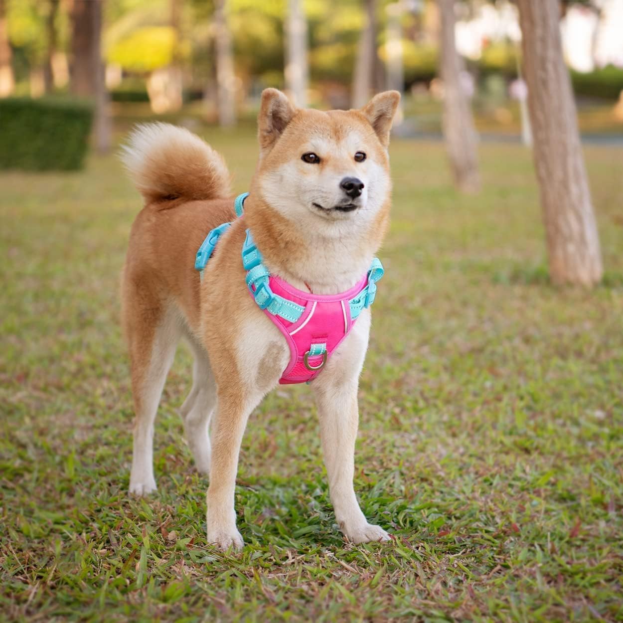 PHOEPET No Pull Dog Harness, Unique Colors Reflective Adjustable Dog Vest, with Soft Training Handle Metal Clips for Small Medium Large Dogs (Pink Base & Green Straps,M)