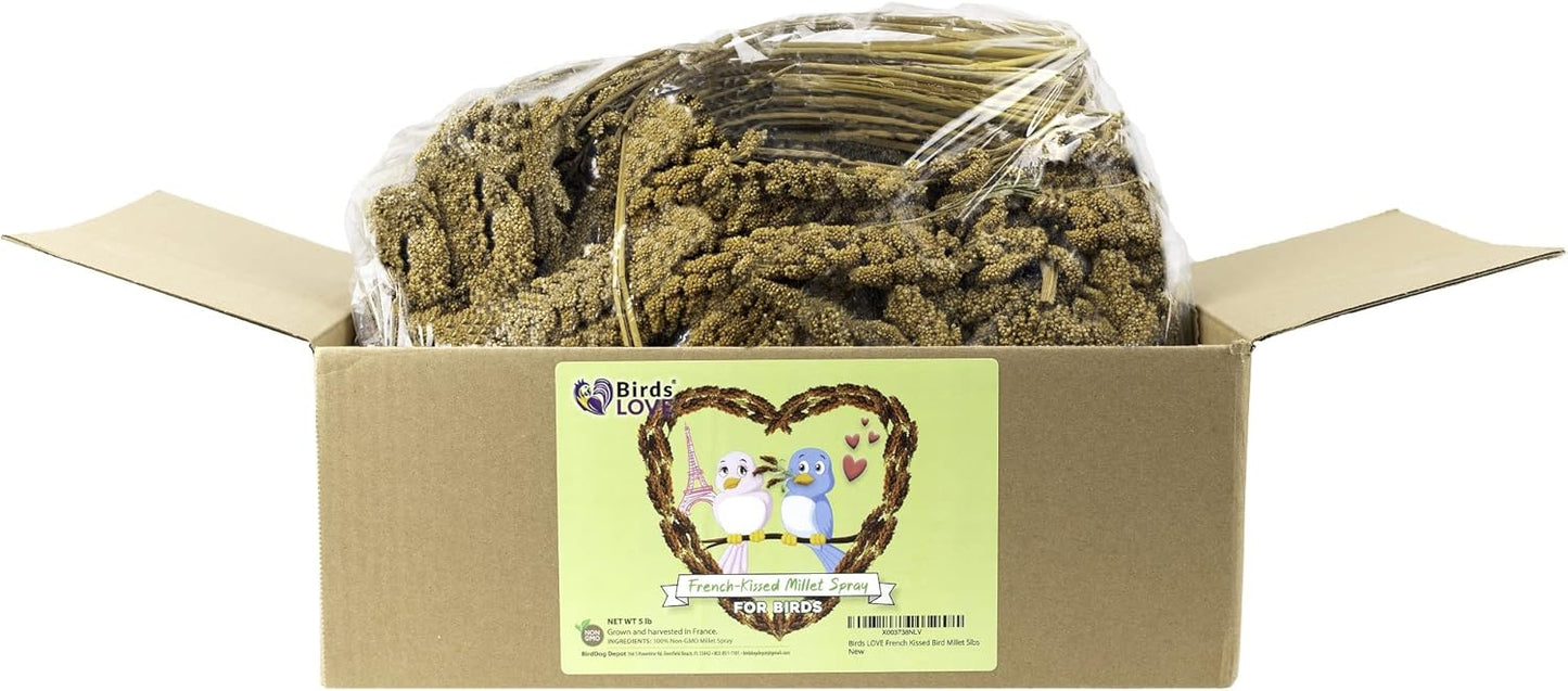 Birds LOVE French Kissed Spray Millet for Birds - Parakeets, Cockatiels, Lovebirds, Finches, Budgies, Canaries, Cockatoos - Natural & Healthy Bird Millet - Parakeet Food & Treats for All Parrots 5lbs