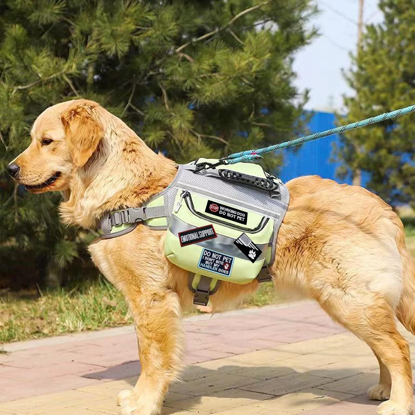 16 Pcs Dog Patches for Harness, Working Service Dog Vest Patches Tactical Canvas Removable Hook Loop Patch in Training Dog Vest