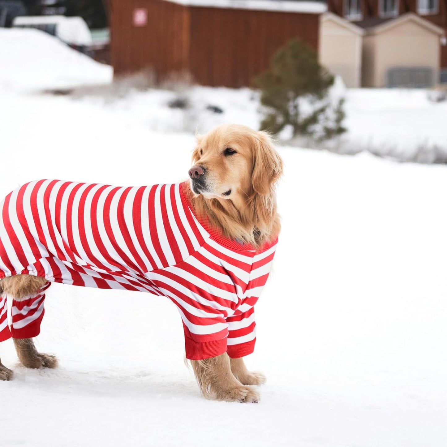 Dog Pajamas, Christmas Onesie PJS for Dog Boy Girl, Doggie Jumpsuit, Puppy Christmas Clothes for Pitbull Bulldog, Red and White Striped, M
