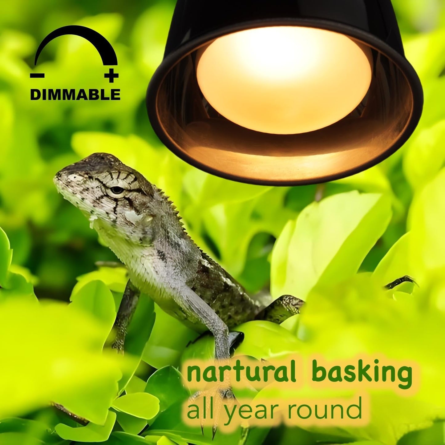 MRREPTILE Reptile Heat Lamp Bulbs, 2-Pack 150W Intense Basking Bulbs, Reptile Basking Lamps, Bearded Dragon Basking Light, Simulated Natural Basking for Reptiles Snakes Lizards Tortoise Heater