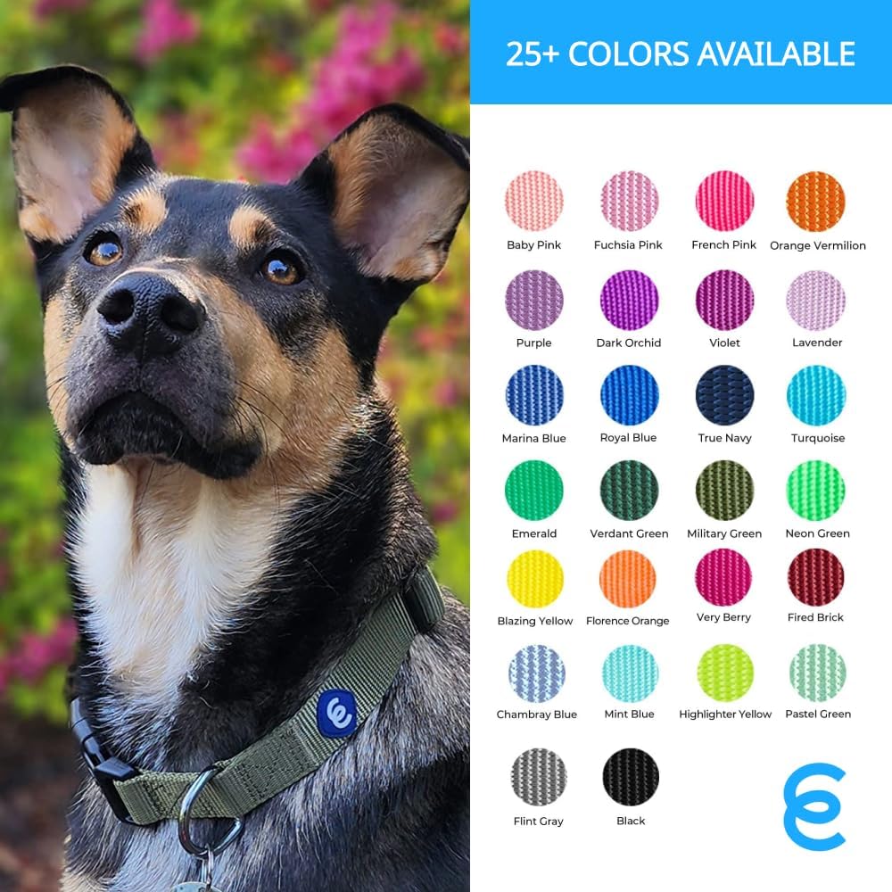 Blueberry Pet X-Small Dog Collar | Girl Dog Collars | Female Dog Collar XS | Quick Release Dog Collar | Very Berry Nylon Dog Collar for Girl, Collar for Small Dogs