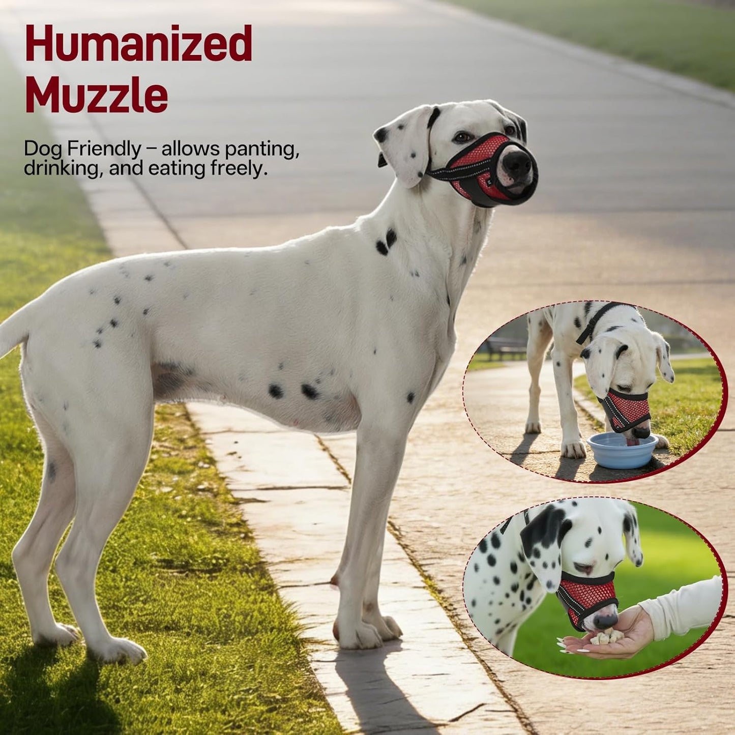 Pezluxe 2-Pack Dog Muzzle, Soft Air Mesh Muzzle Anti Biting Barking Chewing, Secure & Breathable Drinkable Pets Muzzles with Adjustable Strap, for Small Medium Large Dogs (Red-S)