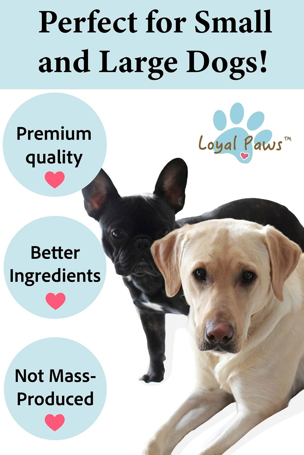 Chicken Jerky Dog Treats for Training – All Natural Chicken Strips for Dogs, High Protein Dog Treats Chicken, Grain Free Dog Snacks, No Fillers, Limited Ingredient Chews Pet Supplies, 4oz