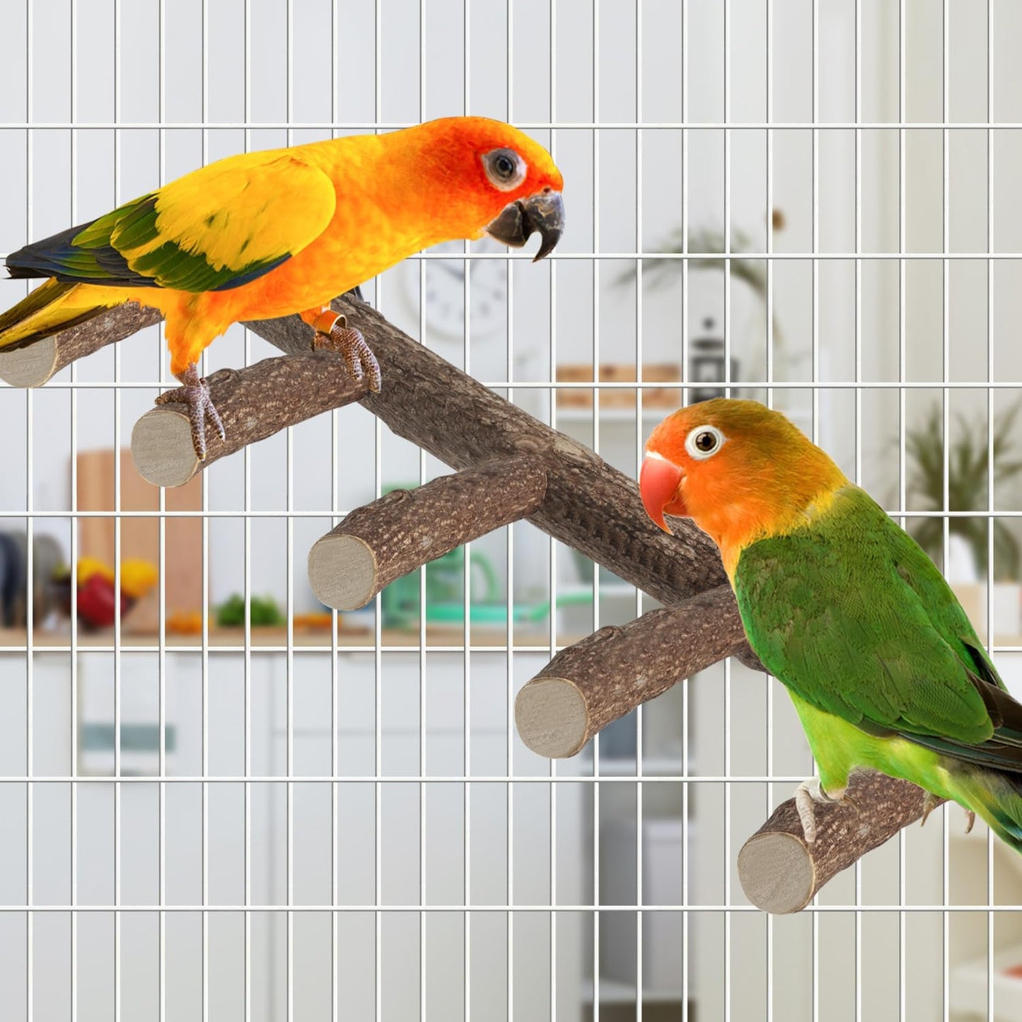 Parrot Wood Stand, Parrots Perch for Cage, Natural Bird Ladder for Small Medium Parrot, Parakeets, Cockatiels, Conures, Hamster(12.2 inch)