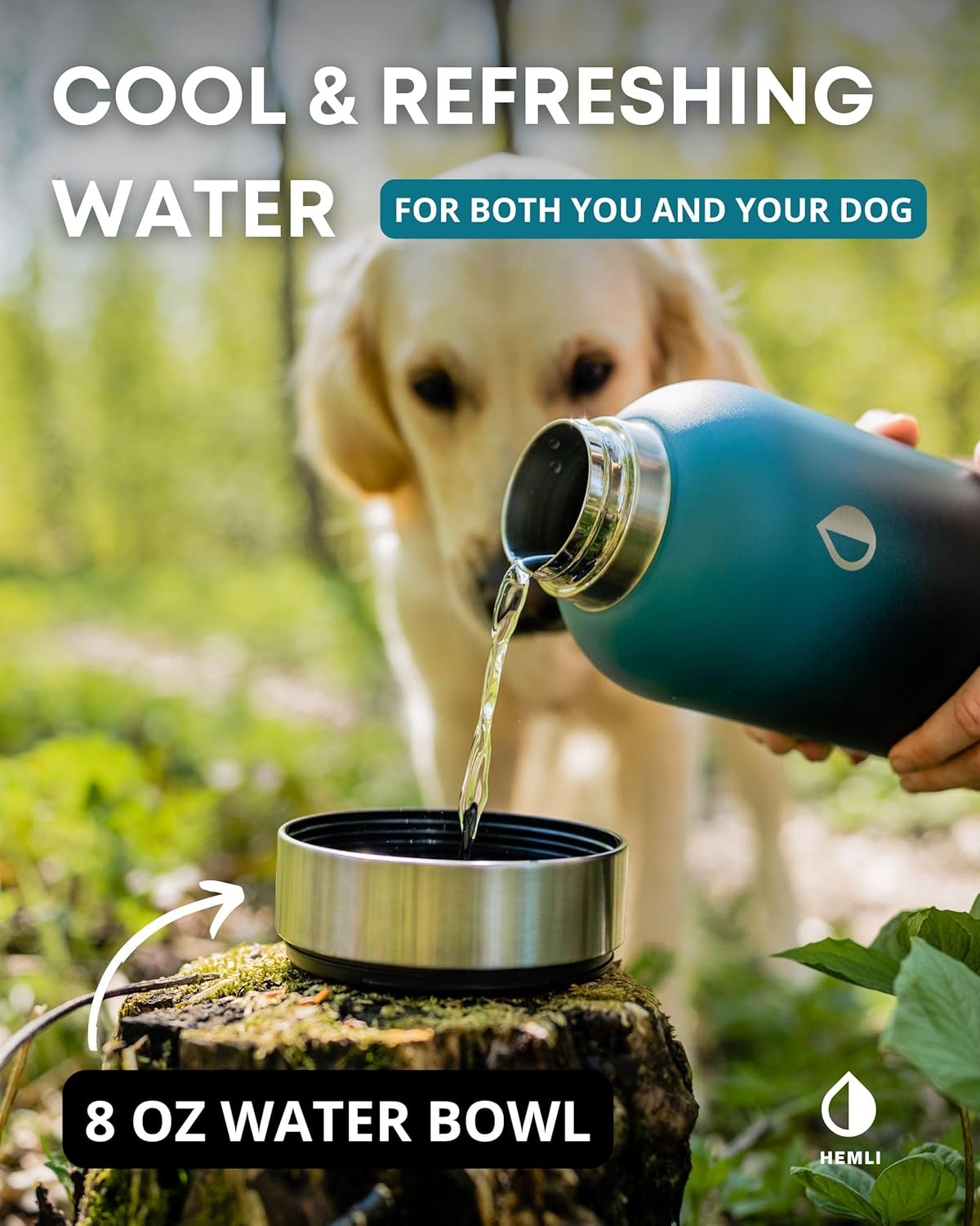 32 oz. Dog Water Bottle, Insulated Dog Travel Water Bottle, Stainless Steel Pet Water Bottle Dispenser Portable Food and Water Bowl for Dogs with Carrying Case for Walking Dog Canteen Travel Kit