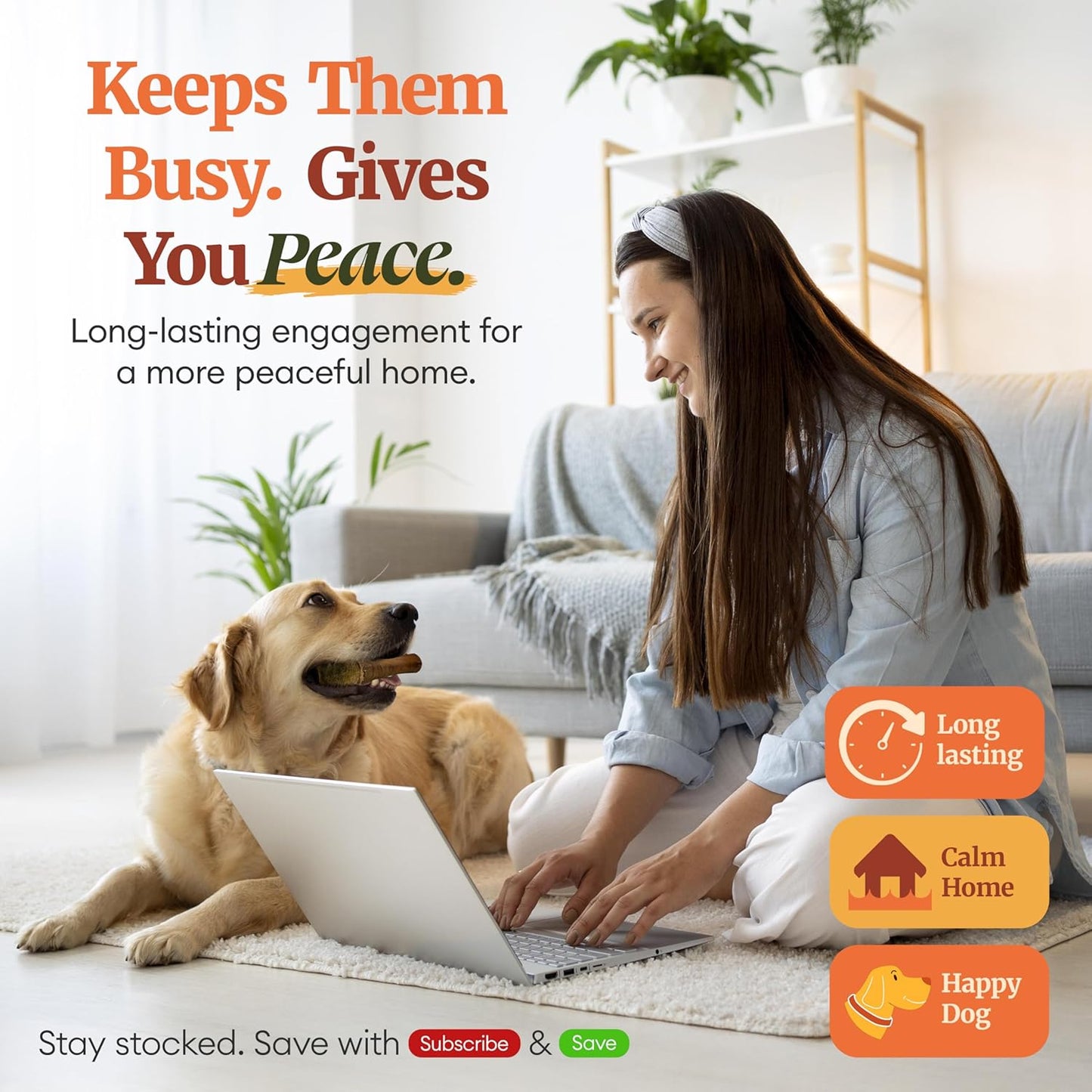 Nature's Ranch Bully Sticks for Dogs 3–5 Inch (15 Pack), Low Odor Long Lasting Dog Chews, Rawhide Free Natural Chew Sticks, Single Ingredient Beef Pizzle for Small & Medium Dogs