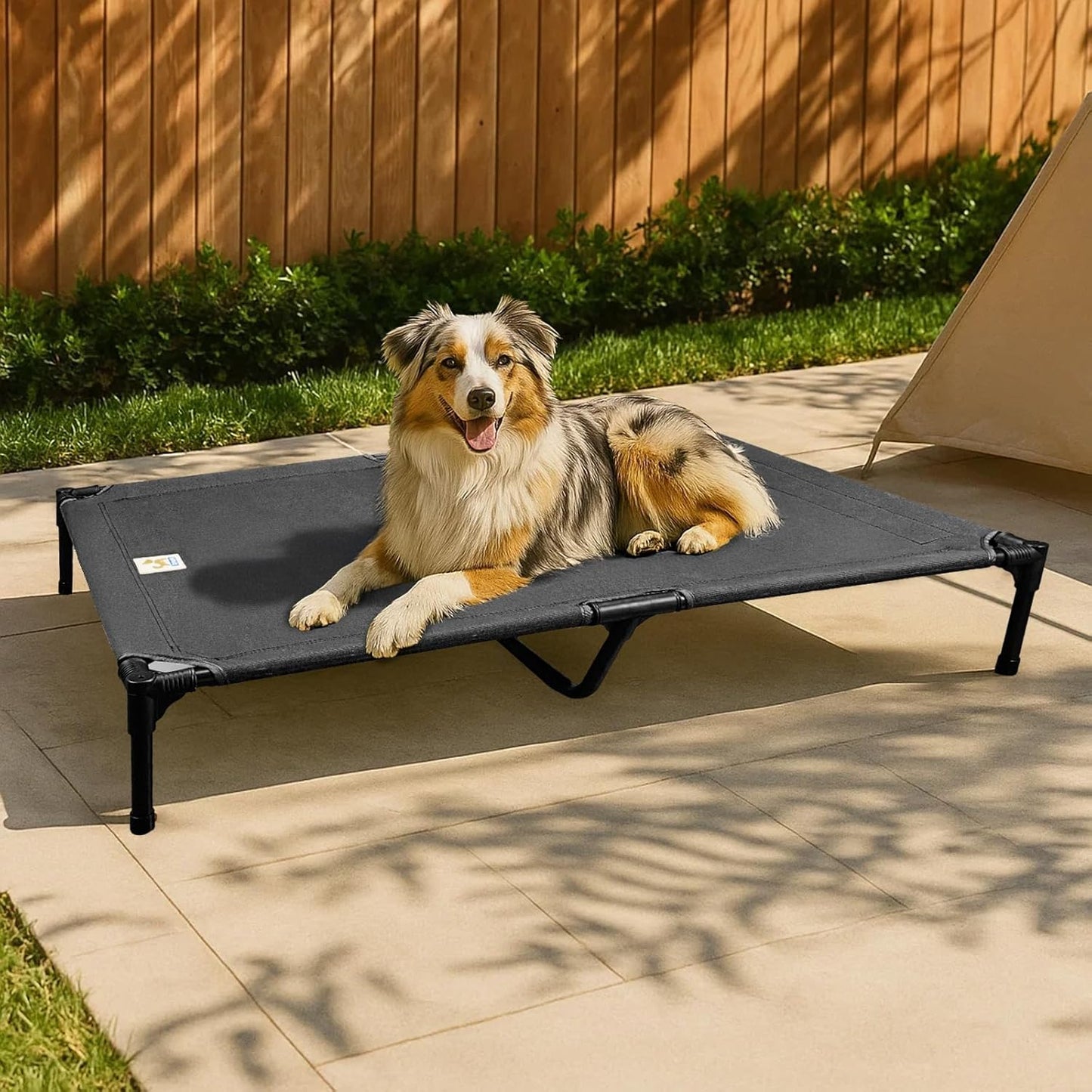 Sytopia Canvas Elevated Dog Bed, Durable Chew Proof Outdoor Raised Pet Cot for Large Dogs, Waterproof, Breathable, Portable, Washable, Easy Assembly, Sturdy Frame for Camping & Travel, Dark Grey