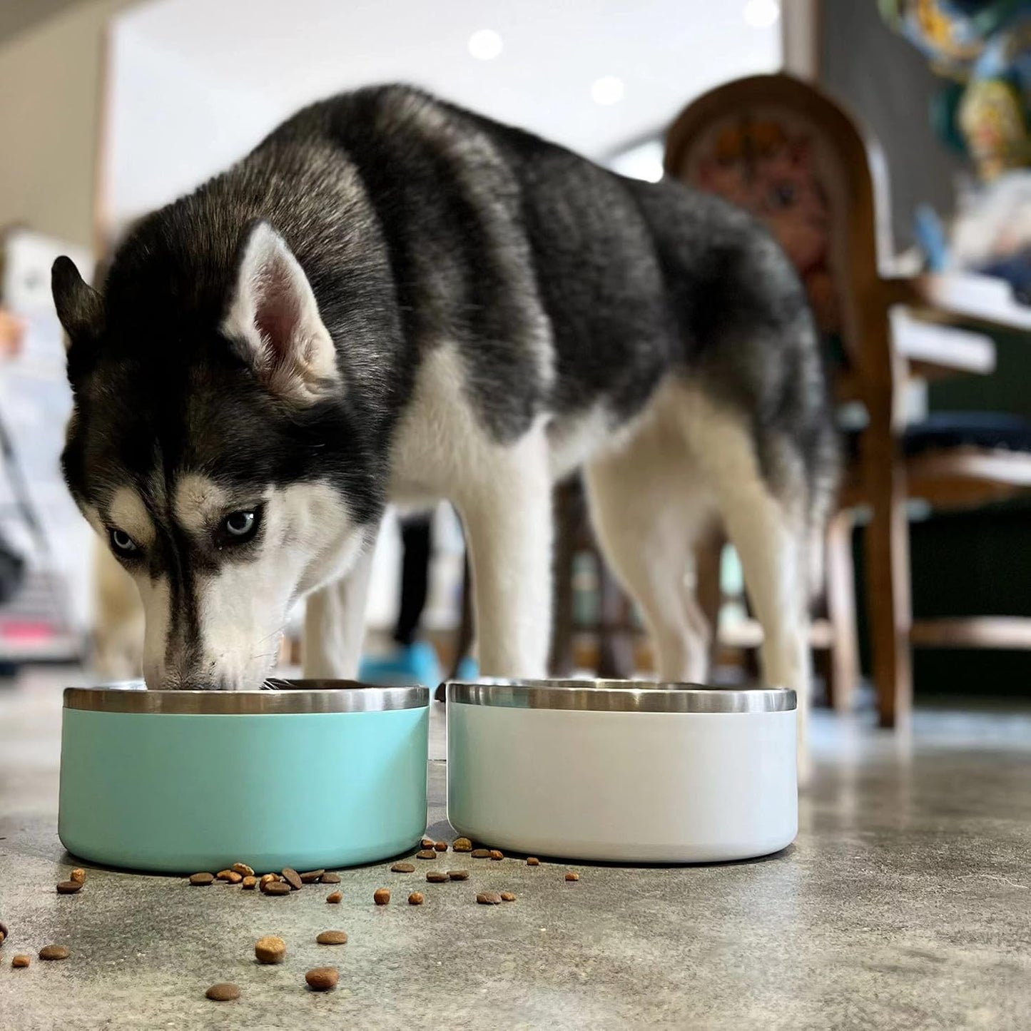 IKITCHEN Dog Bowl for Food and Water, 64 Oz Stainless Steel Pet Feeding Bowl, Durable Non-Skid Double Wall Insulated Heavy Duty with Rubber Bottom for Medium Large Dogs (64 Ounces/8 Cup, MintGreen)