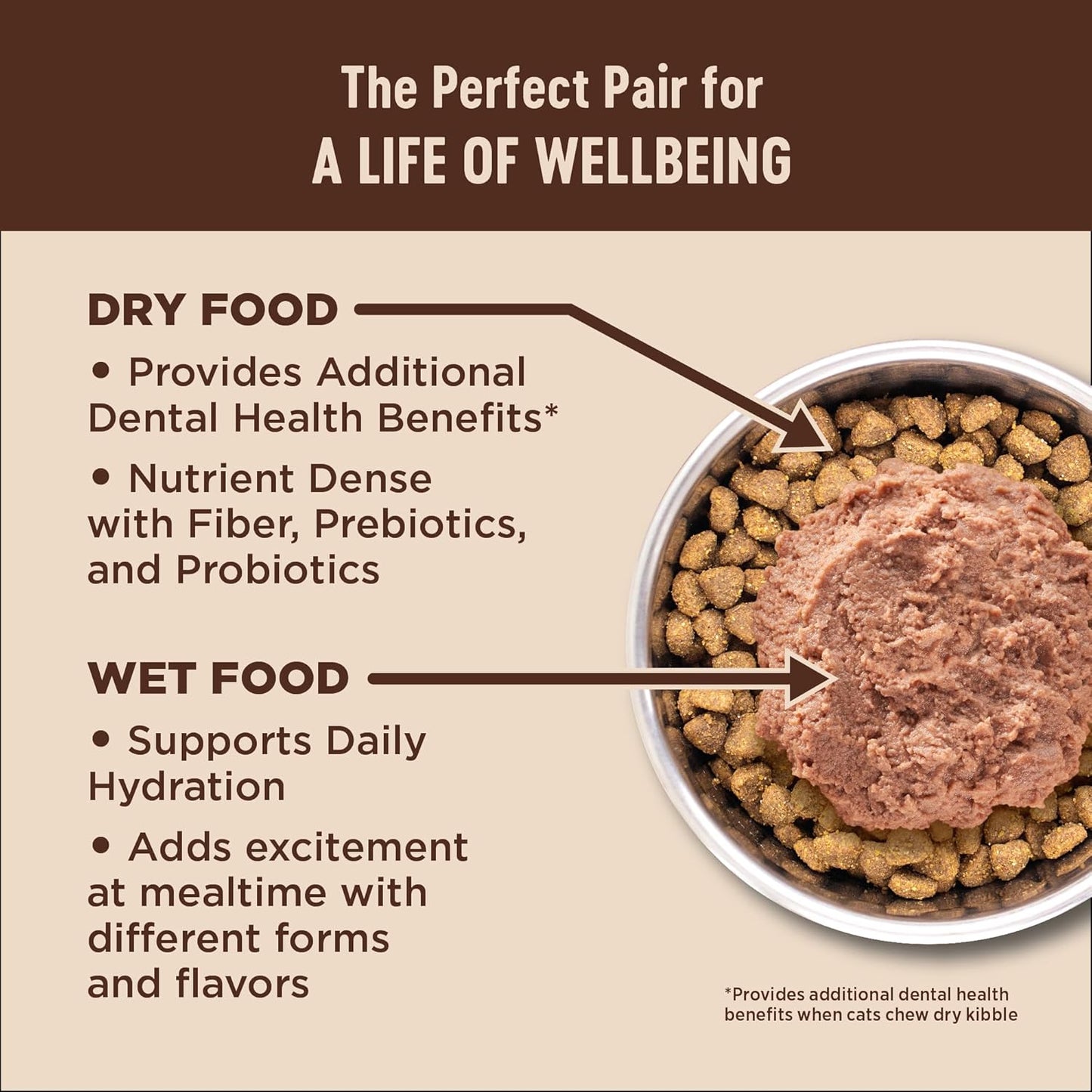 Wellness CORE+ Immune Health Pate Adult Wet Cat Food, Natural, Protein-Rich, Grain Free, 2.8 Ounce, 12 Pack (Chicken & Turkey)
