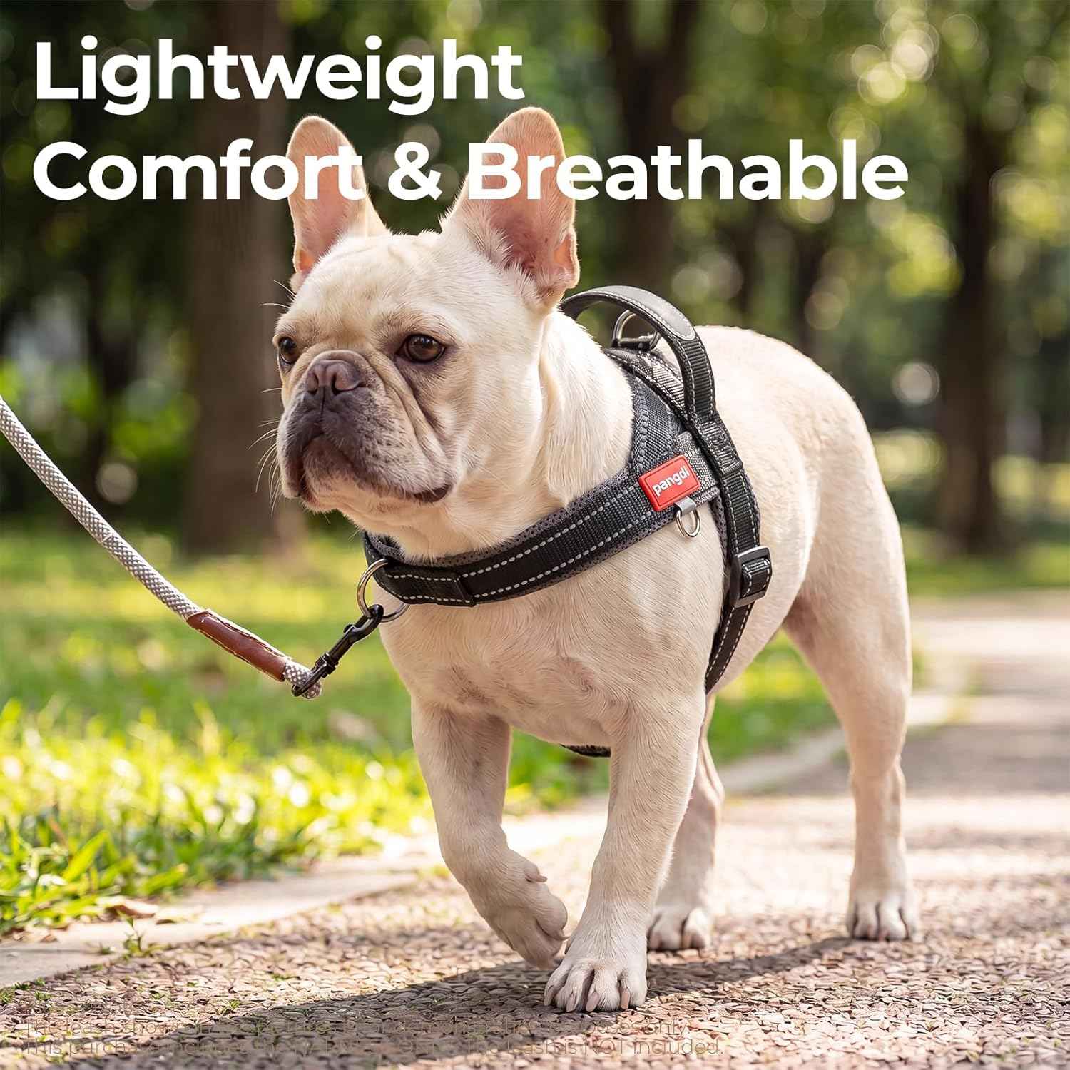 No Pull Dog Harness with Handle, Yorkie Adjustable Reflective Dog Vest, Breathable Air Mesh Padded Pet Harness with Front Leash Clip for Small Medium Dogs, Black, S