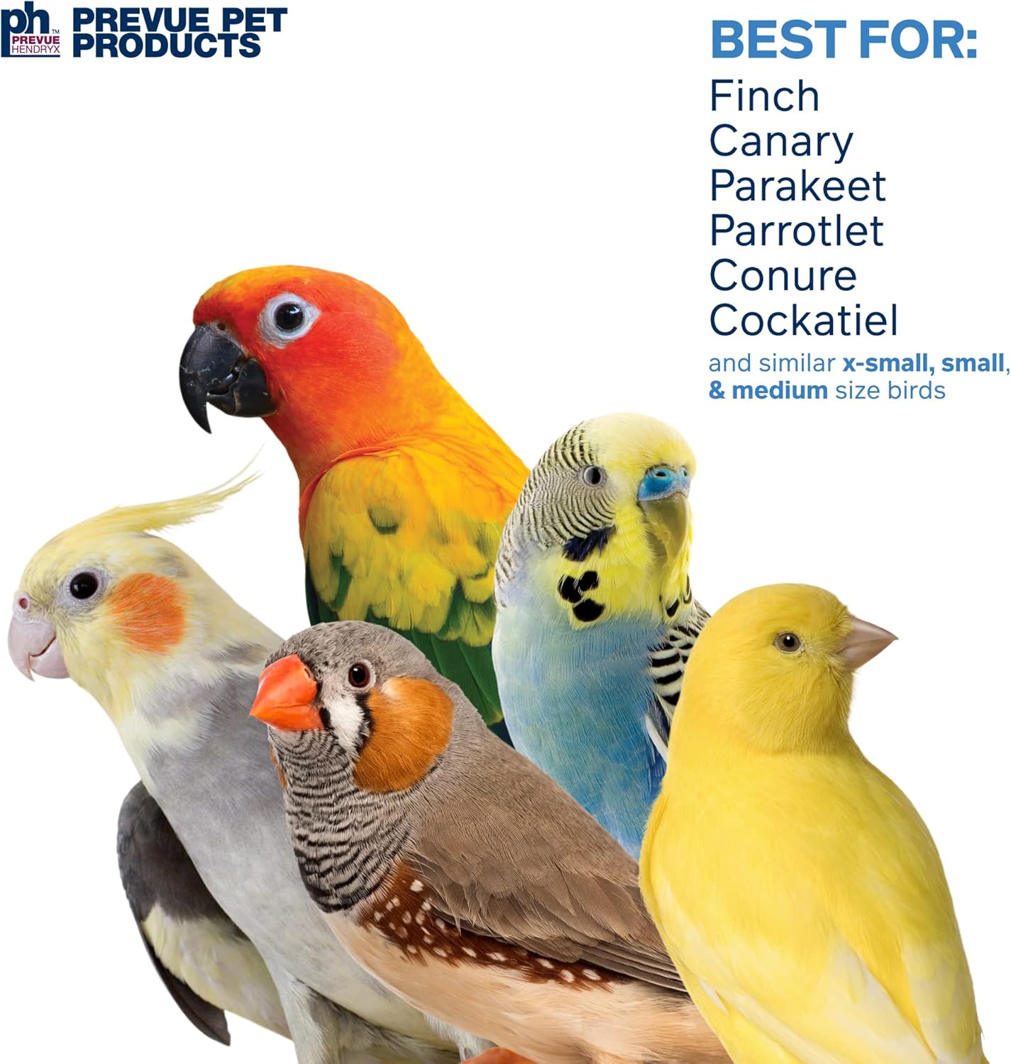 Prevue Pet Products Naturals Physical & Mental Princess Bird Toy 62553
