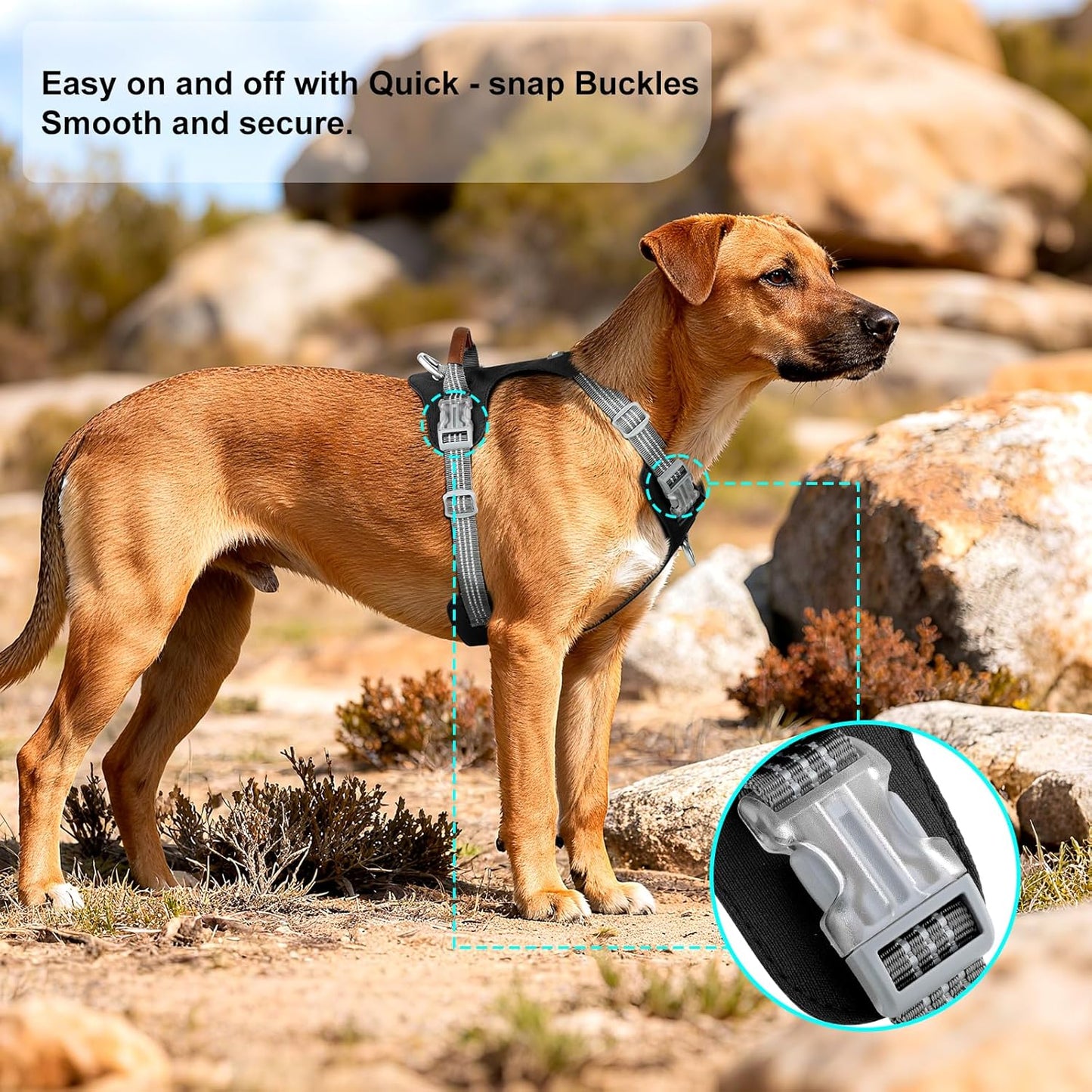 No Pull Dog Harness – Adjustable Reflective Nylon Vest for Small Medium Large Dogs, Escape Proof Training Harness with Leather Control Handle, Lightweight Aluminum Hardware (Black, M)