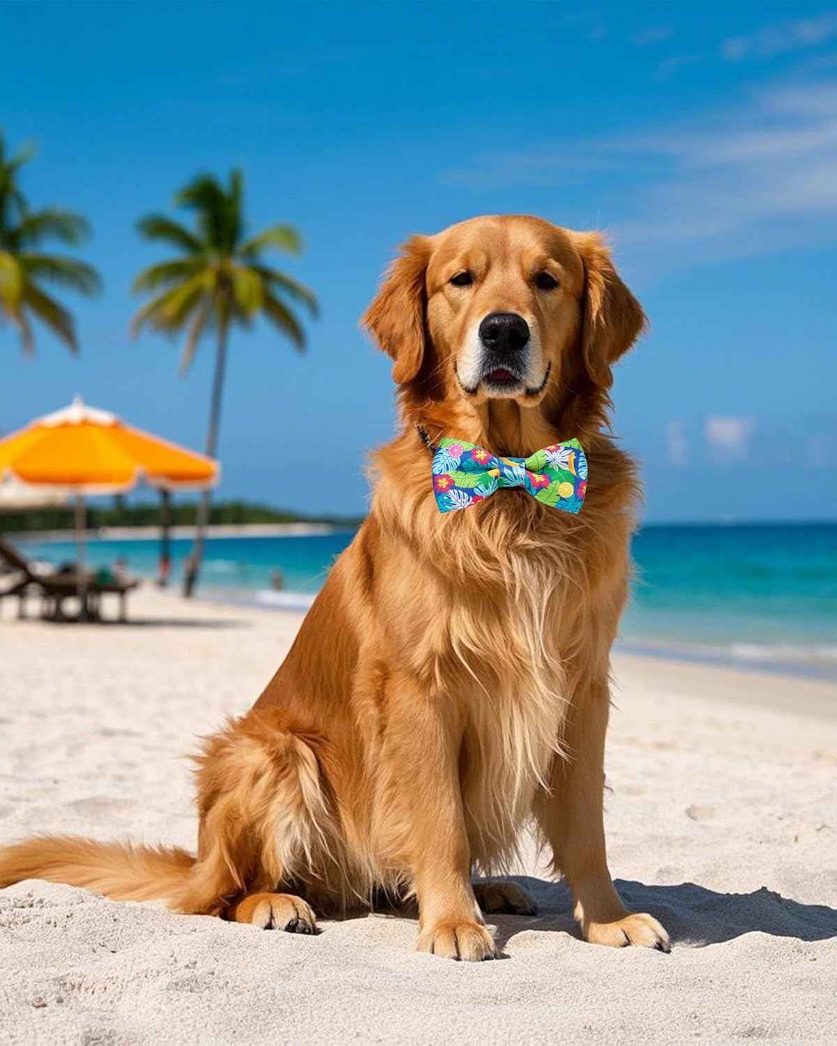 PET SHOW 10 Pack Summer Big Dog Bow Ties for Large Medium Dogs Sliding Collar Attachments Hawaiian Bowties Floral Fruit Bowknots Party Holiday Pet Grooming Accessories(Large)