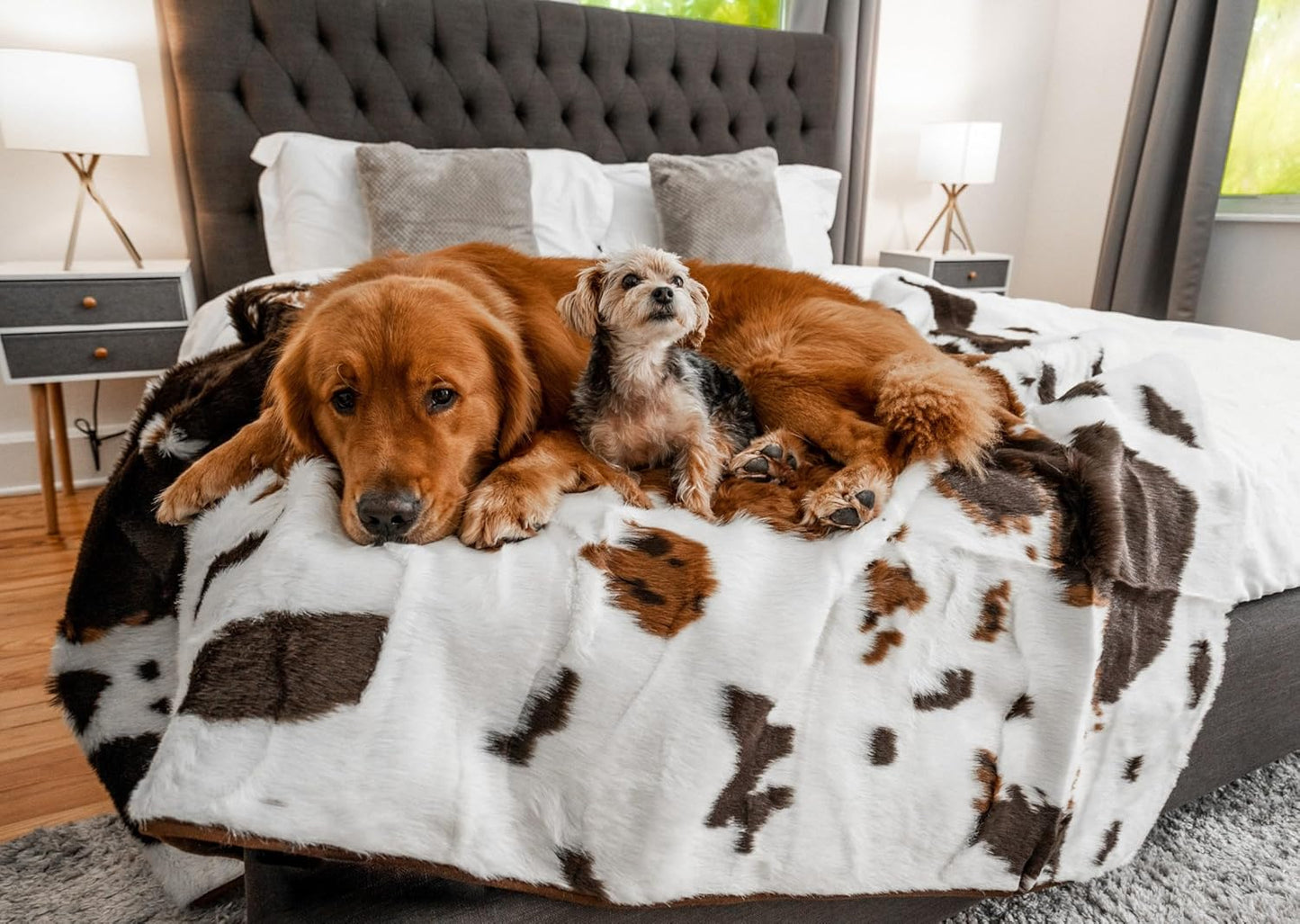 PupProtector Waterproof Throw Blanket for Dogs and Cats, Pet Blanket Cover for Couches, Sofas, Beds, Car Seats, Furniture, Calming Soft Faux Fur, Brown Cowhide, Original (60" L x 50" W)