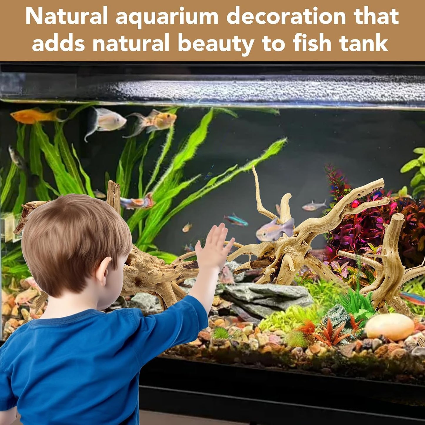 Natural Small Spiderwood Driftwood for Aquarium Decor Rptile Fish Tank Decoration Assort Branch 4-7'' 8 Pcs