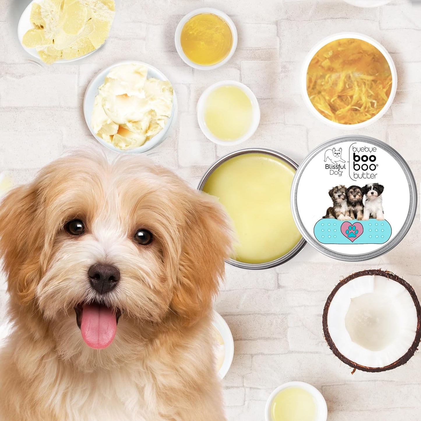The Blissful Dog Havanese Boo Boo Butter, 4-Ounce