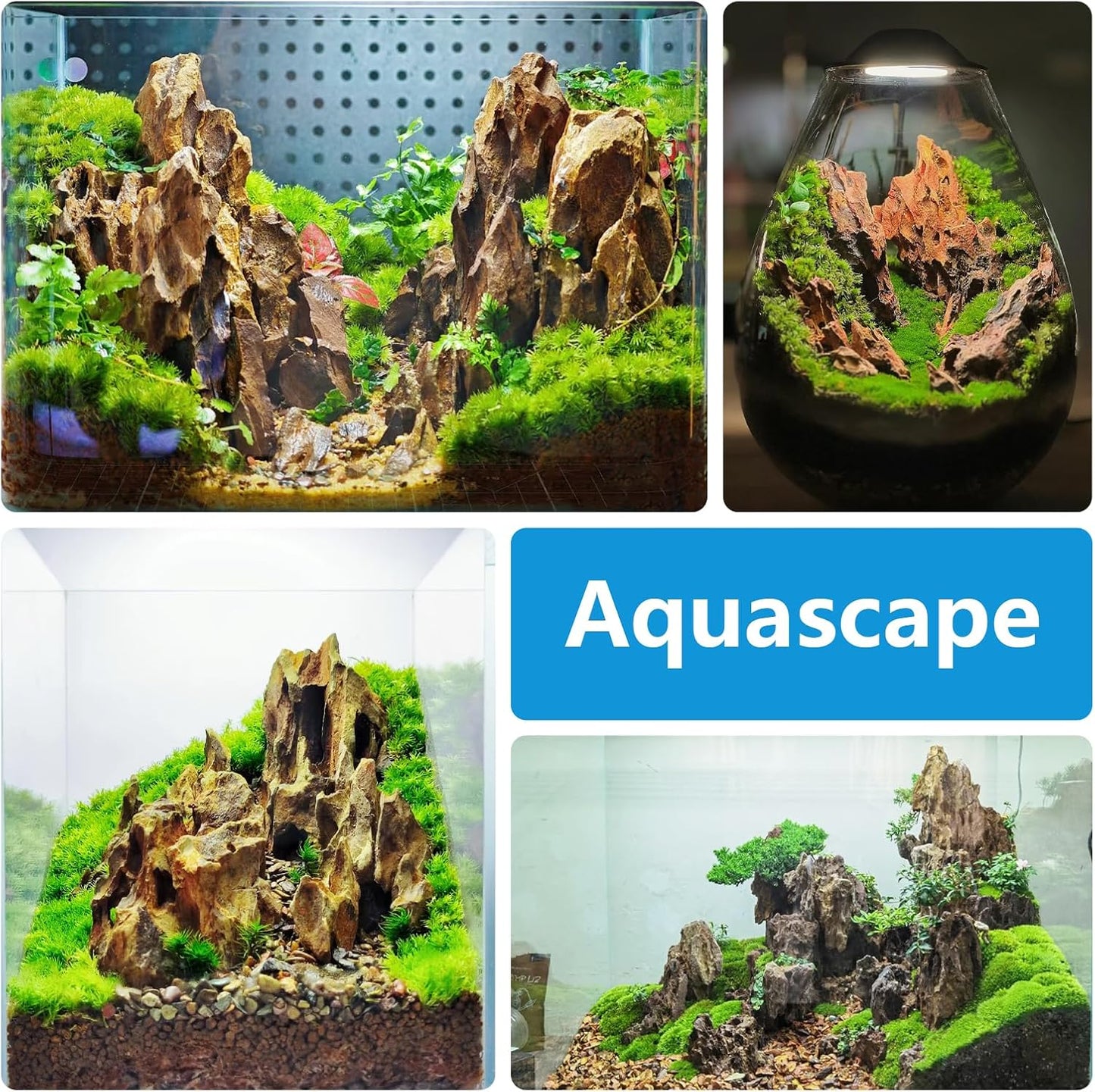 Natural Rock Stone 10LB Fish tank rock for Aquarium Landscaping Models Fish Tank Decoration, Freshwater Planted Aquariums and Amphibian enclosures-2-6 inches