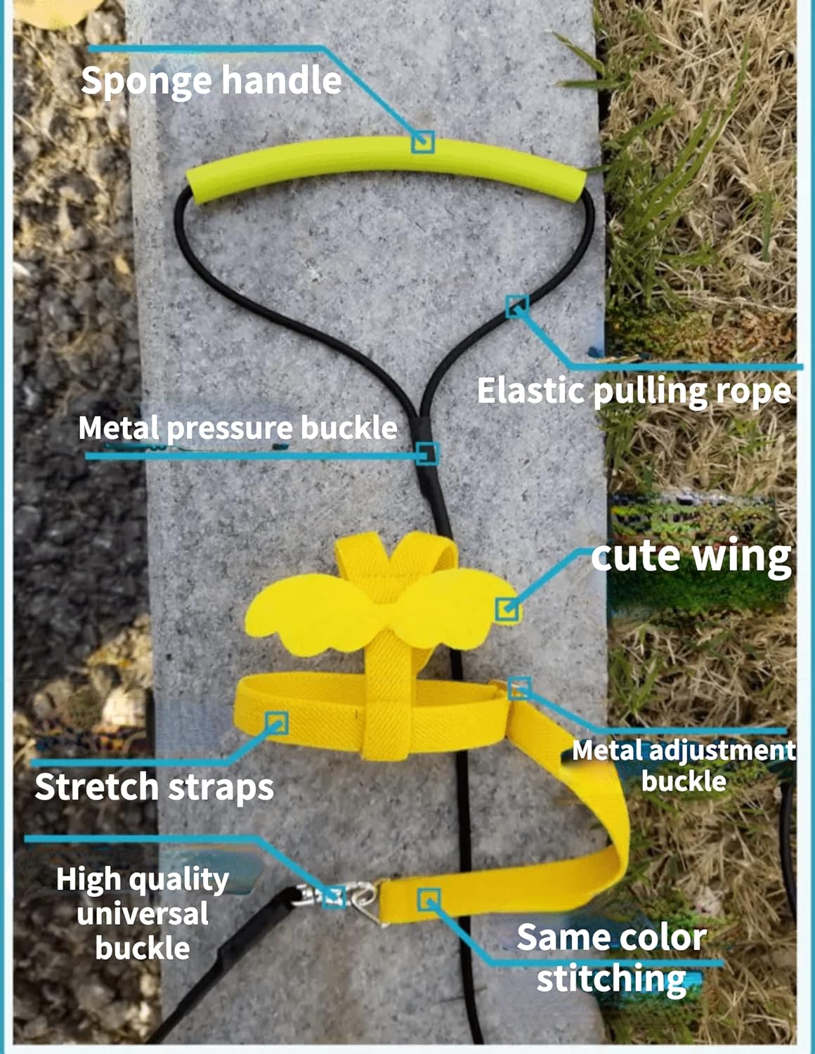 Pet Parrot Bird Harness Leash Adjustable Bird Flying Harness Traction Rope with Cute Wing for Parrots Pigeons Budgerigar Lovebird Cockatiel Mynah Outdoor Training Toy (XL, Purple)