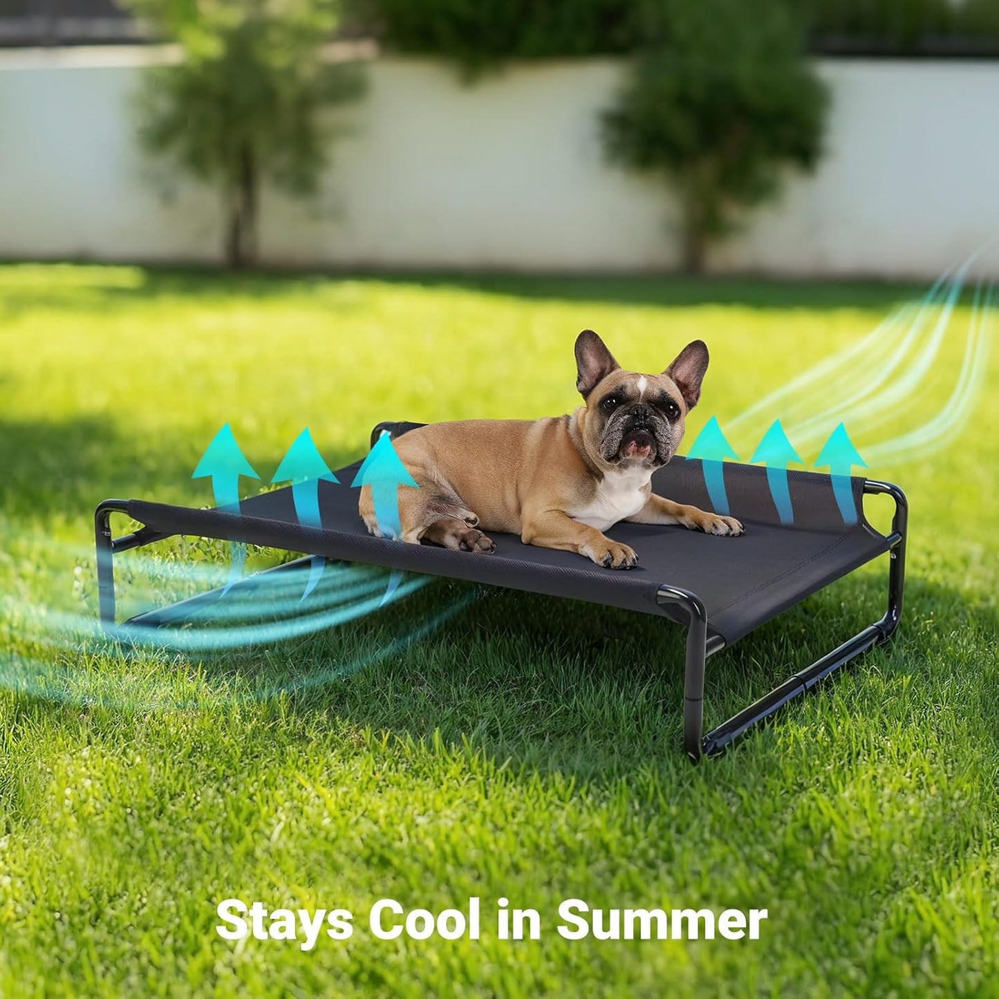 Veehoo Original Outdoor Elevated Dog Bed, Cooling Raised Dog Cot for Medium Dogs, Portable Standing Pet Hammock Platform with Washable Breathable Mesh, No-Slip Feet, Medium, Black Silver, CWC2201