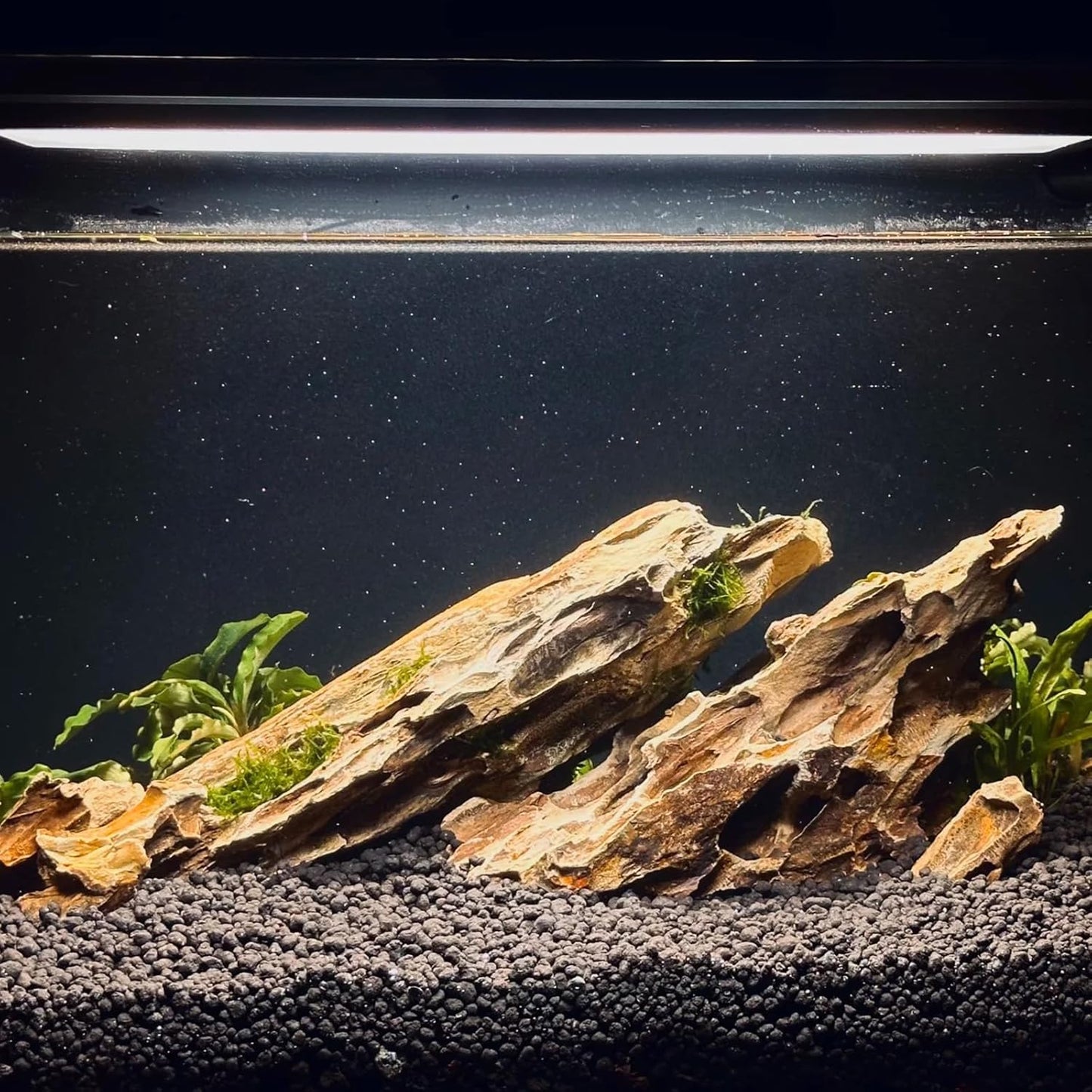 Dragon Rocks Aquariums Stones Natural Rocks for Aquascaping, Aquariums, Terrariums, Vivariums Decorative Stone,Reptile Enclosures,Paludariums,and Gardens-10LB（2 to 7 inch）