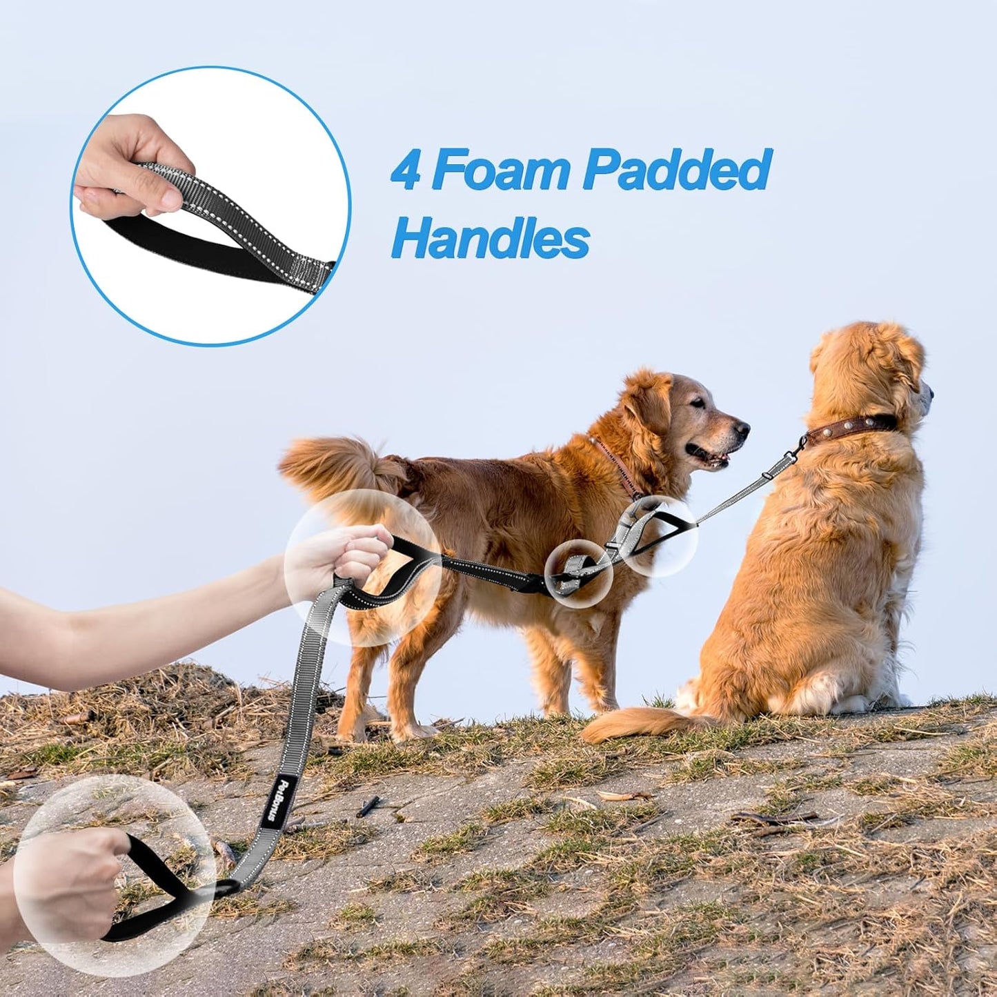 PetBonus Double Dog Leash, No Tangle Dual Leash, Reflective Walking Training Lead, 4 Comfortable Padded Handles for 2 Dogs with Collapsible Bowl and Waste Bags (Grey, Large)