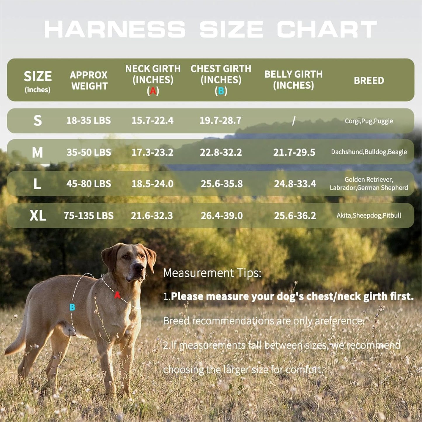 Dog Harness for Large Dogs Heavy Duty, Tactical No Pull Dog Harness with Molle System, Easy On and Off Service Dog Vest, Breathable Padded, Adjustable Reflective Pet Vest for Walking Hiking Training