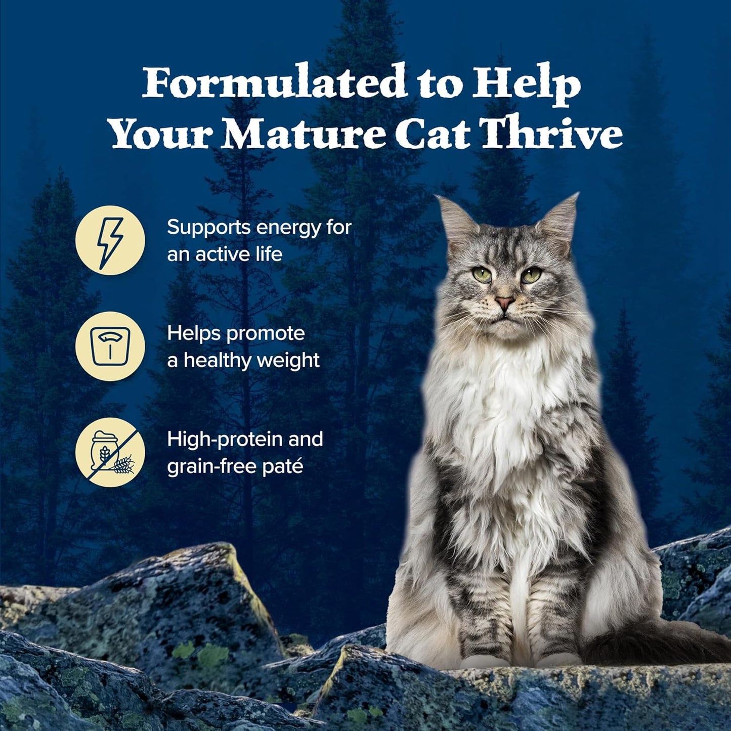 Blue Buffalo Wilderness High-Protein & Grain-Free Wet Cat Food Paté for Adult Cats 7+, Made with Natural Ingredients, Chicken Recipe, 3-oz. Cans (24 Count)