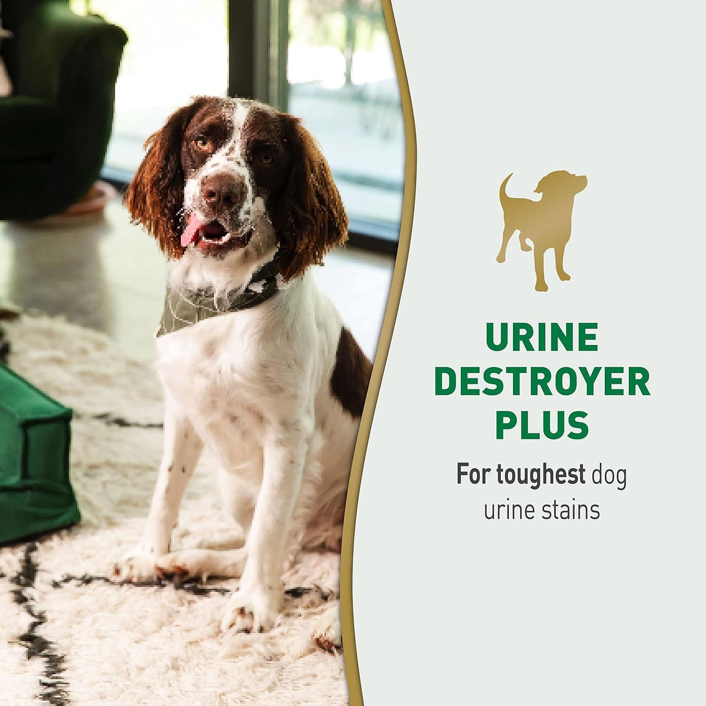 Nature’s Miracle Urine Destroyer Plus Dog, 32 Ounces, Enzymatic Formula, Ready-to-Use