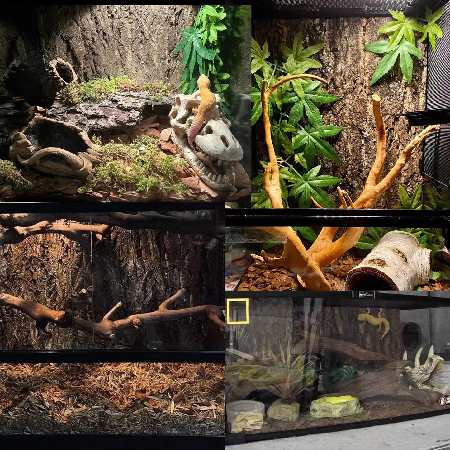 Tfwadmx 2Pcs Terrarium Cork Bark Background, 11.8"x7.8" Thickened Reptile Tank Tree Backdrop Wall Decor Habitat Climbing Mat Decoration for Lizard, Turtle, Gecko, Bearded Dragon, Frog, Chameleon