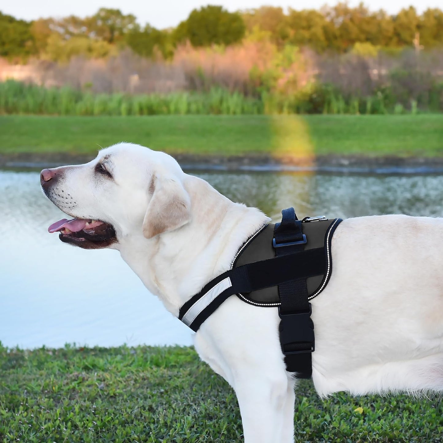 Dogline Dog Harness, Reflective No-Pull Adjustable Vest with Handle for Walking, Training, Breathable, No - Choke Harness for Small, Medium or Large Dogs Room for Patches Girth 27 to 34 in Black